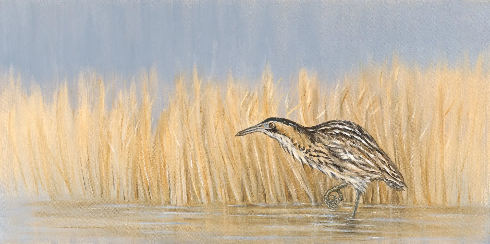 Bittern - Bella Bigsby.jpg