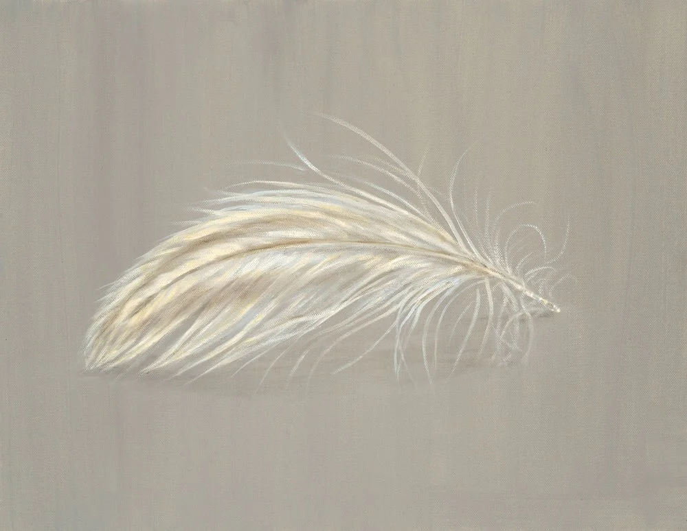 Downy Feather
Oil on Canvas 14" x 18"