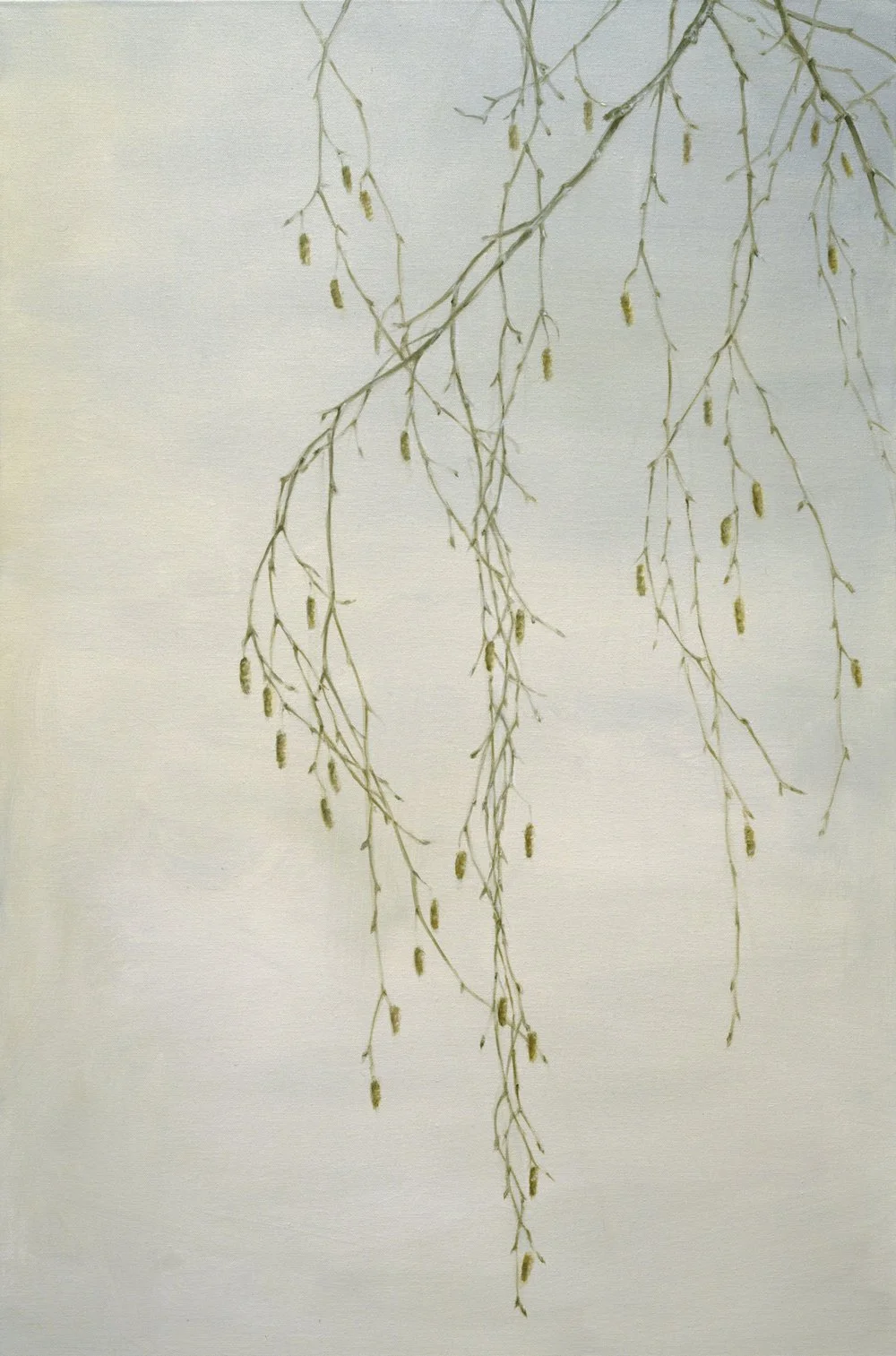 Birch Catkins
Oil on Canvas 36" x 24"