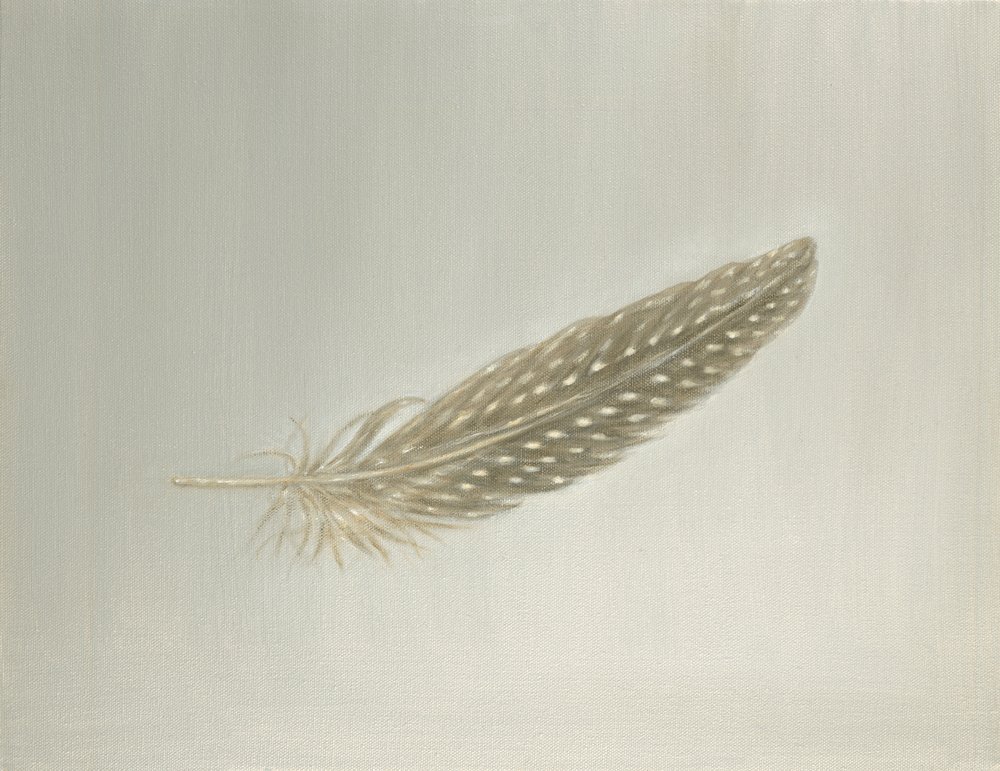Guinea Feather
Oil on Canvas 9" x 12"