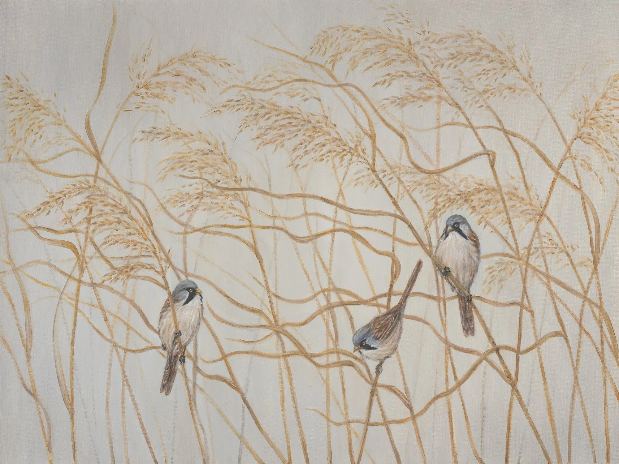 Bearded Tits - Bella Bigsby - 30x40 inches.jpg