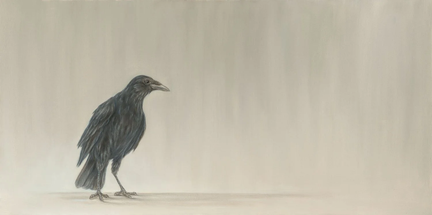 Crow
Oil on Canvas 24" x 48"