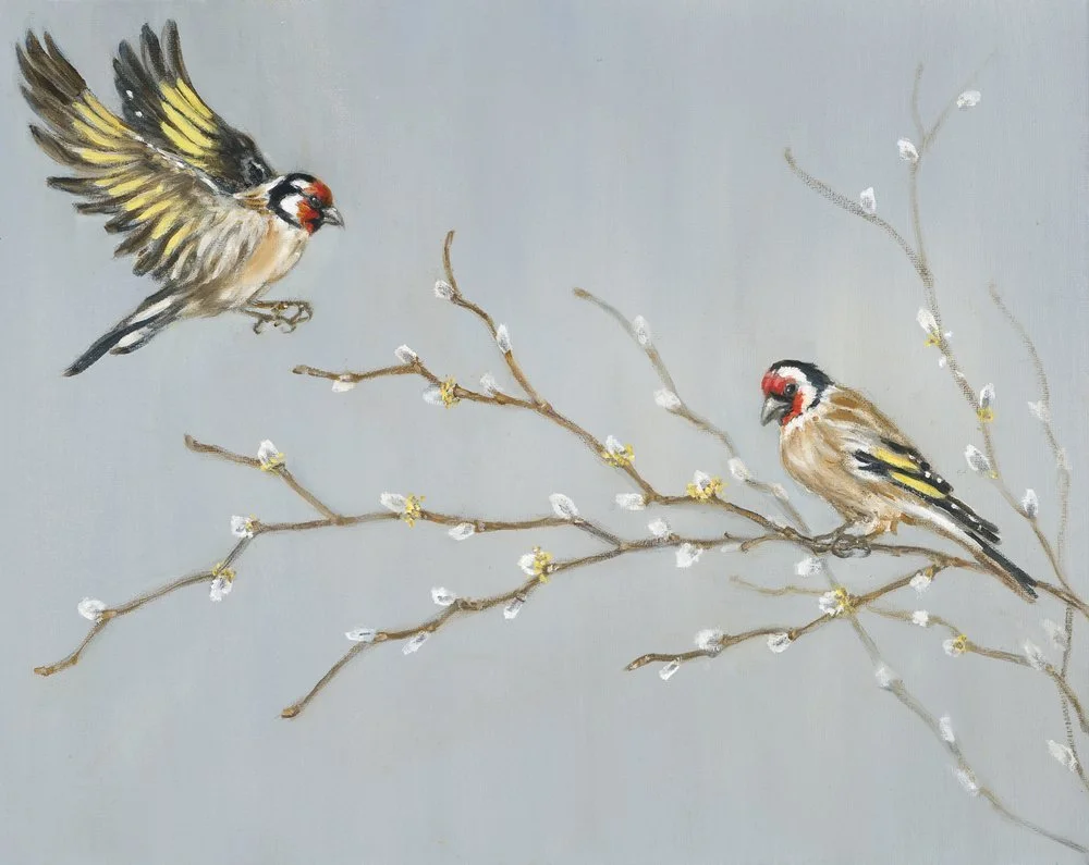 Goldfinch Pair
Oil on Canvas 16" x 20"