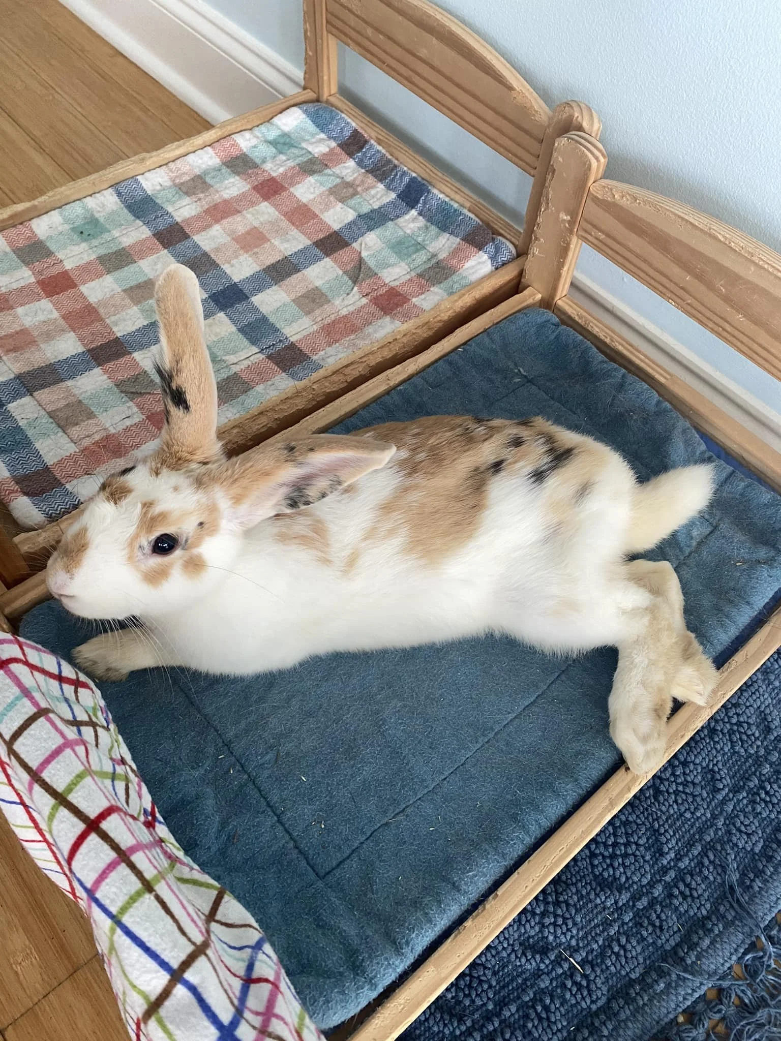 Tater 