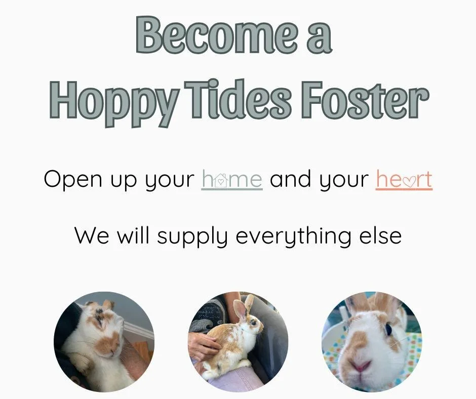 ➡ Click the link in our bio to fill out our foster application!

💙 Please share this post to help us find our future fosters!