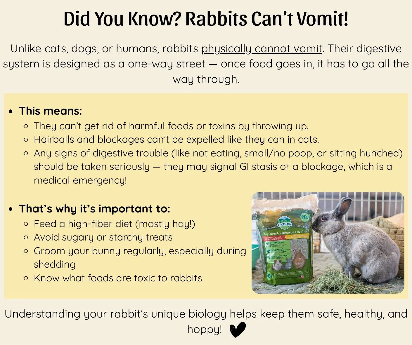 Another Education Tuesday🐰