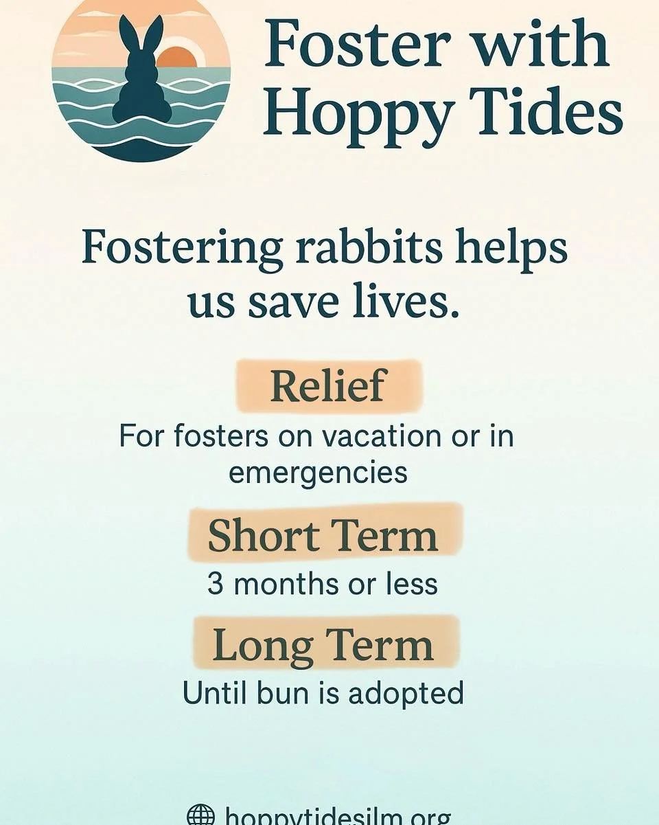 Looking to make a difference for buns in need? 🐇
We&rsquo;re always in need of loving foster homes to help our rescued bunnies thrive! If you&rsquo;re interested, reach out to us via email or DM, and don&rsquo;t forget to fill out our foster applica