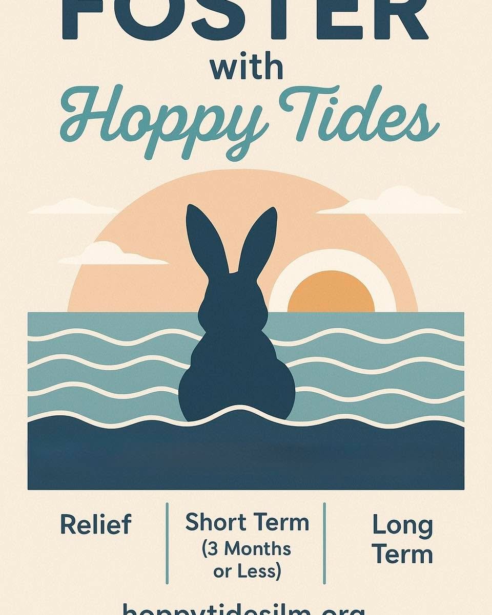Foster a Bunny, Save a Life! 🐰
Our rescued bunnies need temporary loving homes while they wait for their forever families. Interested in fostering? Contact us via email or DM, and complete the foster application form on our website. Every little hop