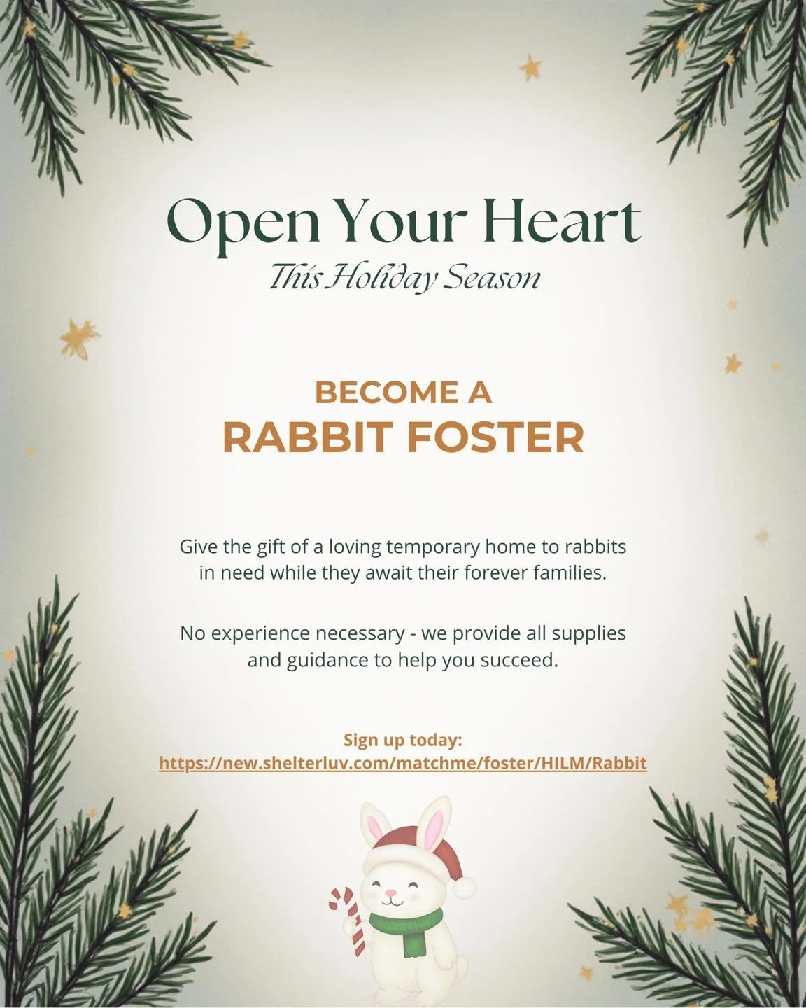 Apply to join our foster program🎄: https://new.shelterluv.com/matchme/foster/HILM/Rabbit