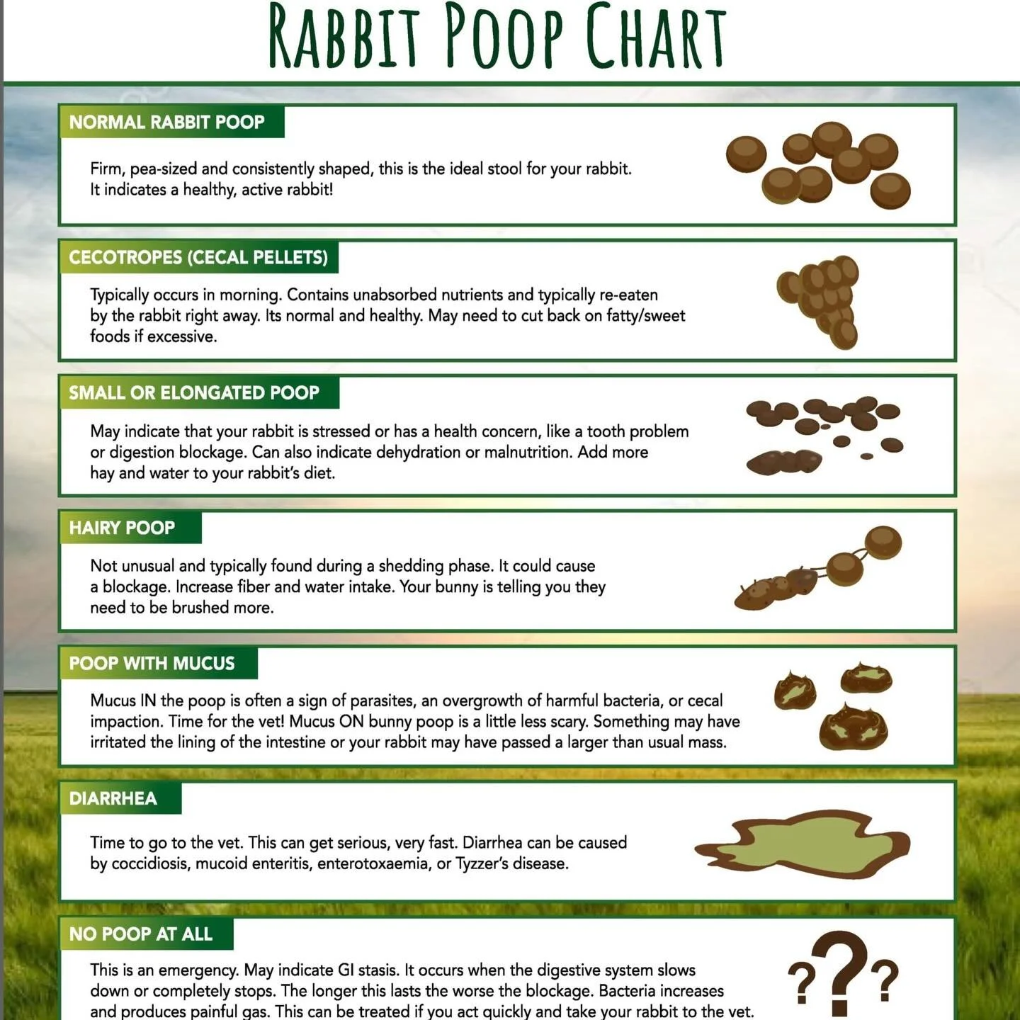 Educational Tuesday 💡 

🐰 Your Rabbit&rsquo;s Poop = A Health Report Card 💩 

Rabbit droppings can tell you a lot about what&rsquo;s going on inside your bunny. From perfect pea-sized pellets (a sign of a happy, healthy gut) to warning signs like 
