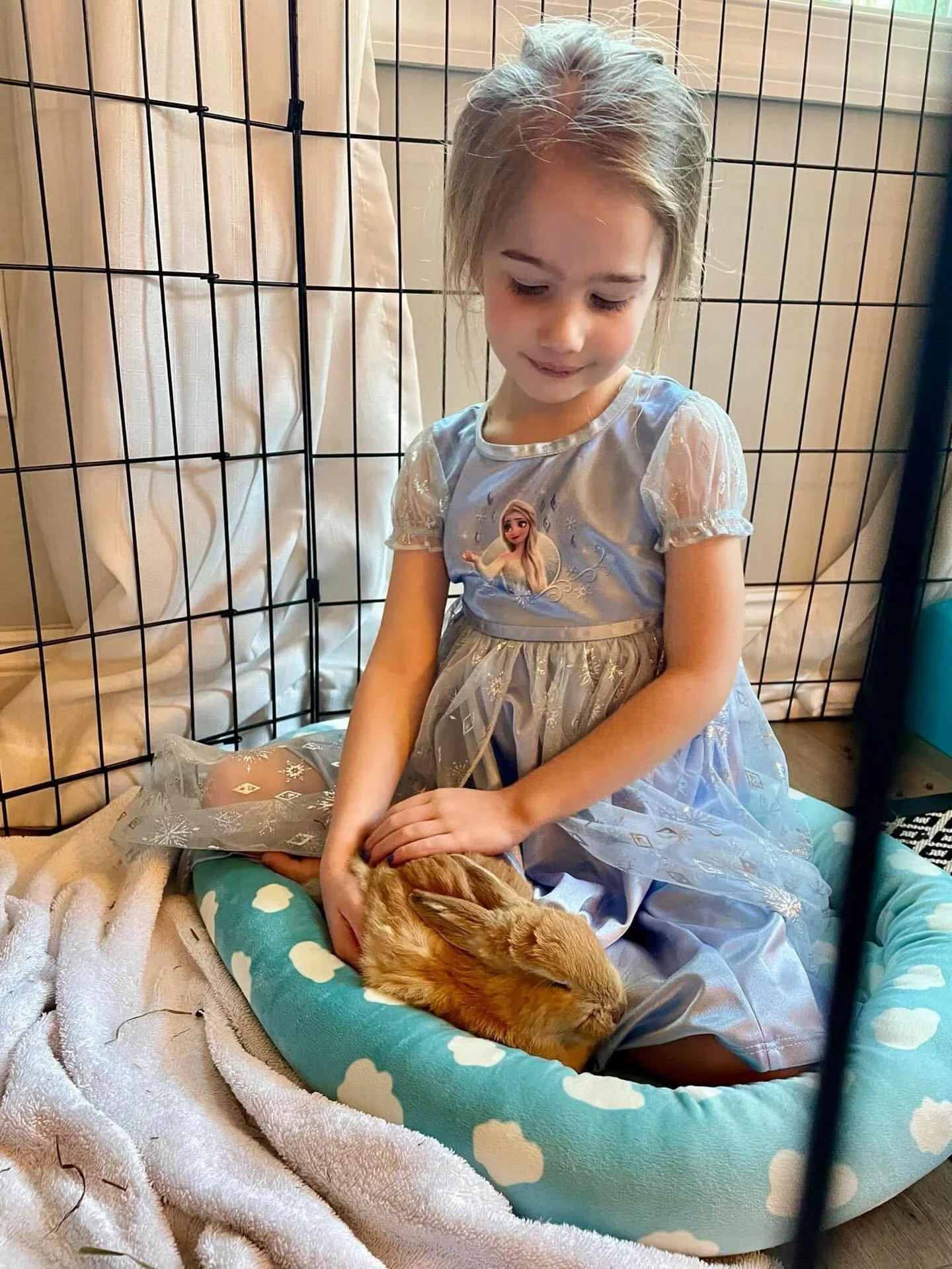 We are loving all of the sweet updates of the rescued buns. What we haven&rsquo;t been able to show is the special bond between a child and a rescued rabbit. 🤍🐰

A rescued bunny has often known fear, uncertainty, and sometimes neglect. A child offe