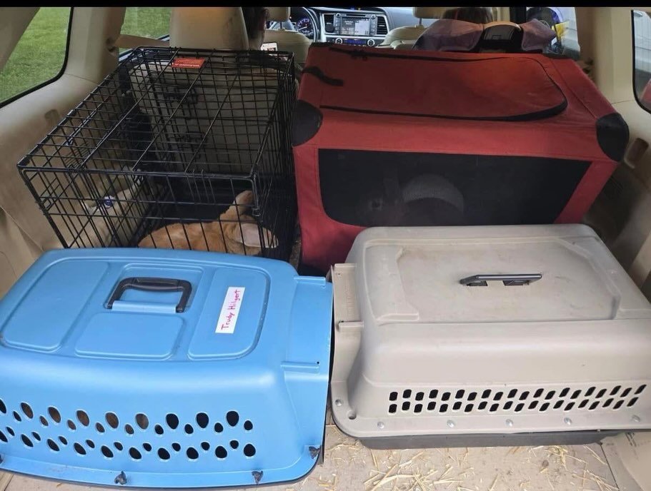 A huge thank you to Melissa for helping us rescue these seven &ldquo;test&rdquo; rabbits that were going to be eaten. They&rsquo;re on their way to the best life ever💙❤️. 
For everyone that supports us, this is why we do what we do. Thank you all!!