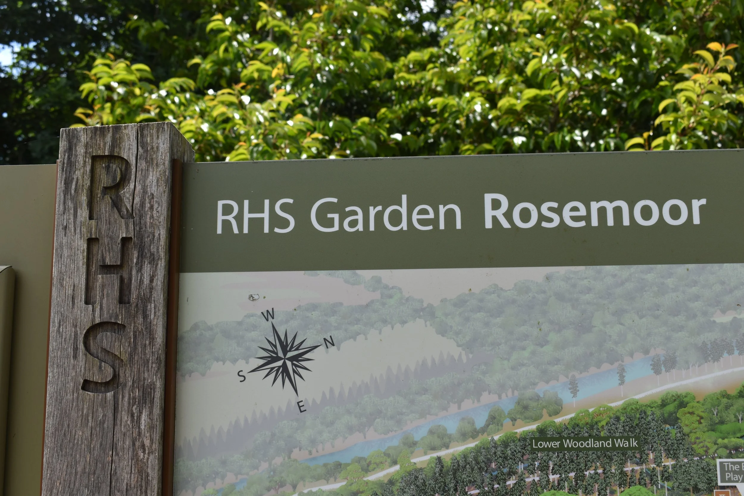 RHS Rosemoor Garden Festival