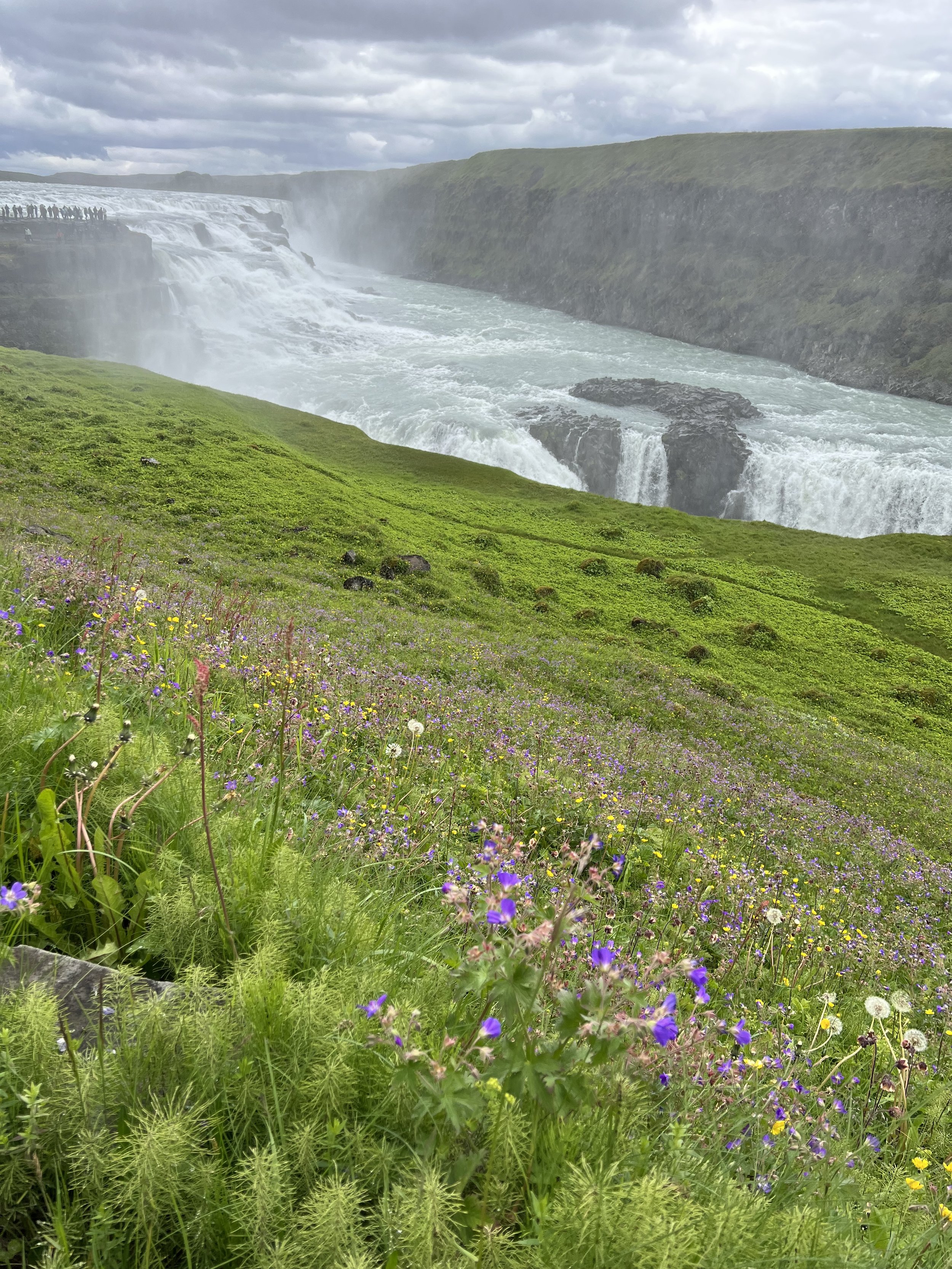 A scenic view of a waterfall with lush green grass and colorful wildflowers in the foreground, cloudy sky overhead.
