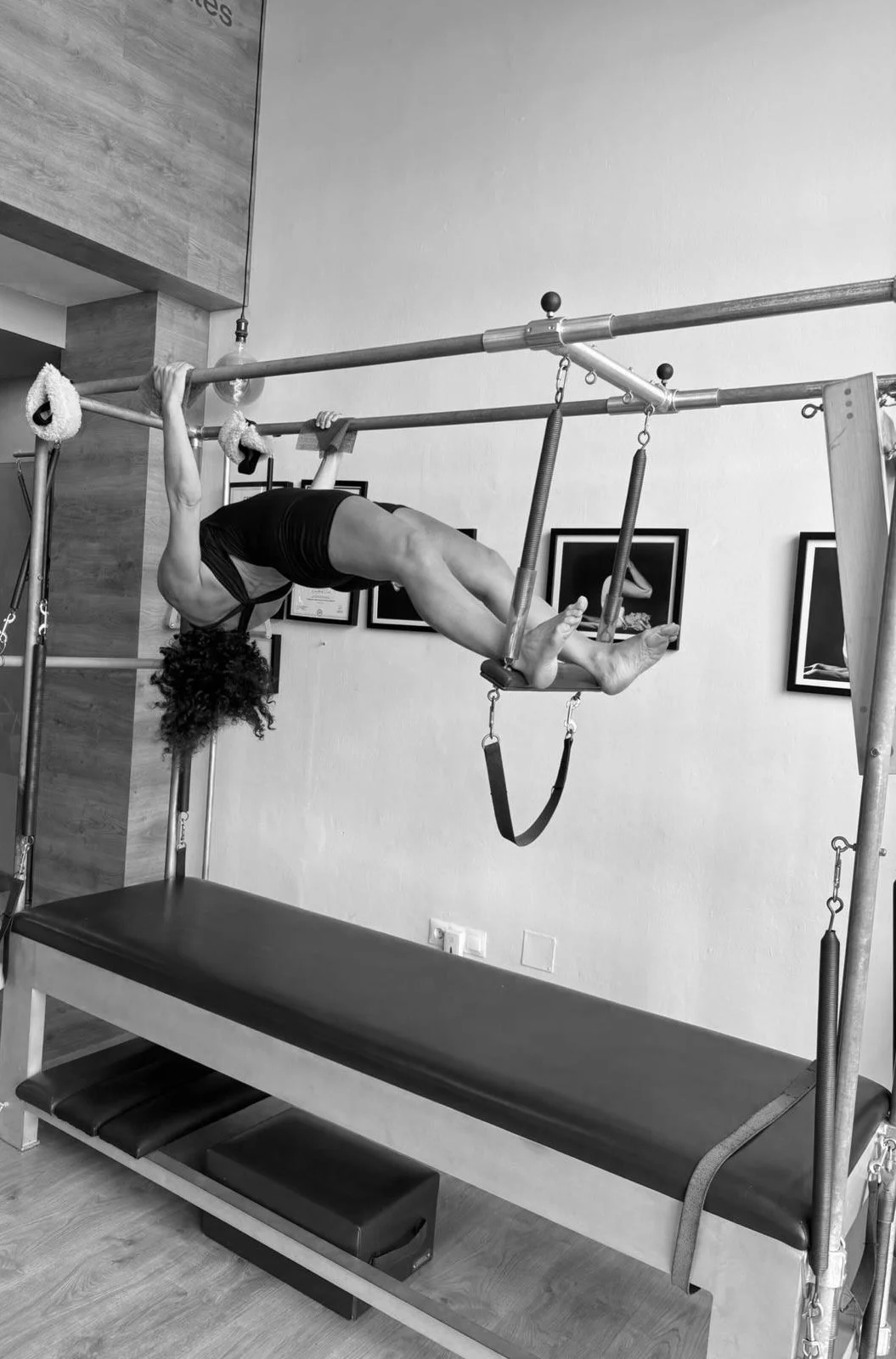 The Elephant in the Room for Movement Teachers