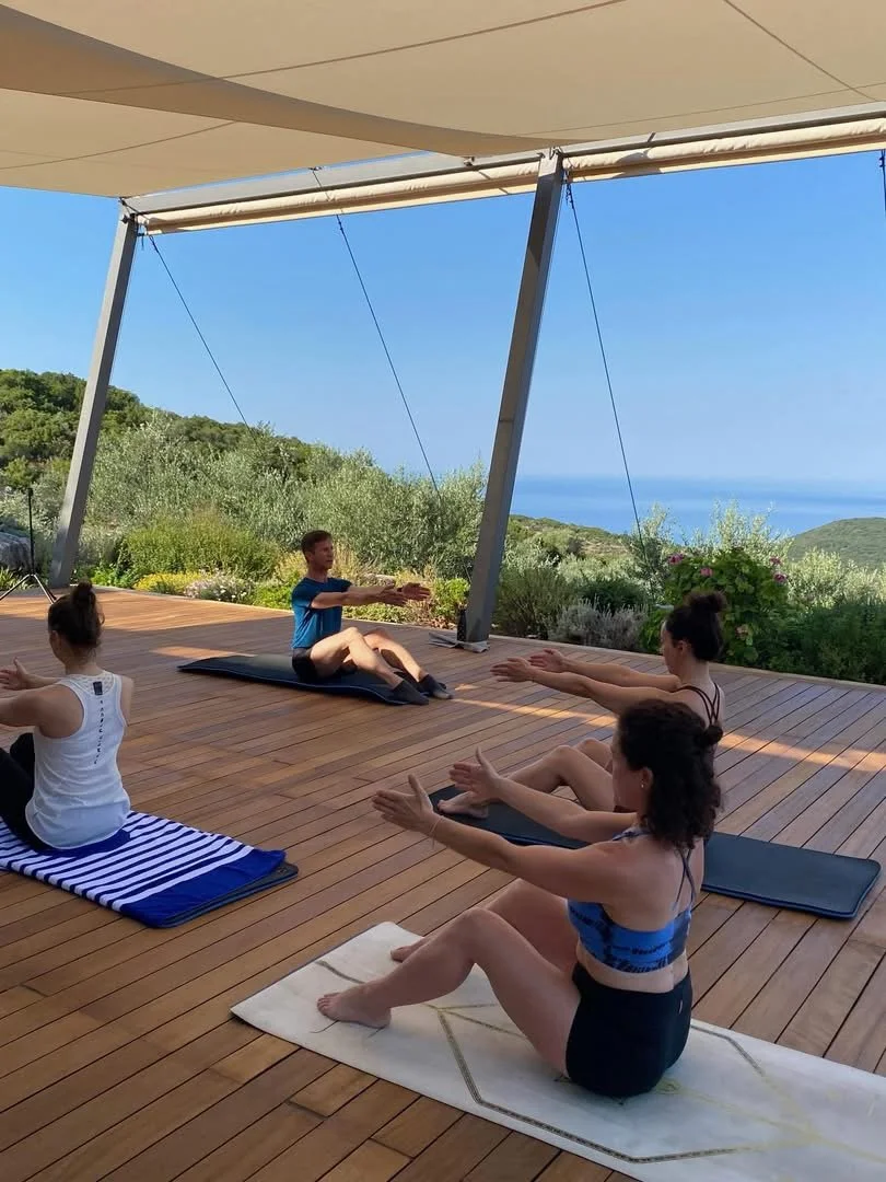 Aesthetics vs Adaptation