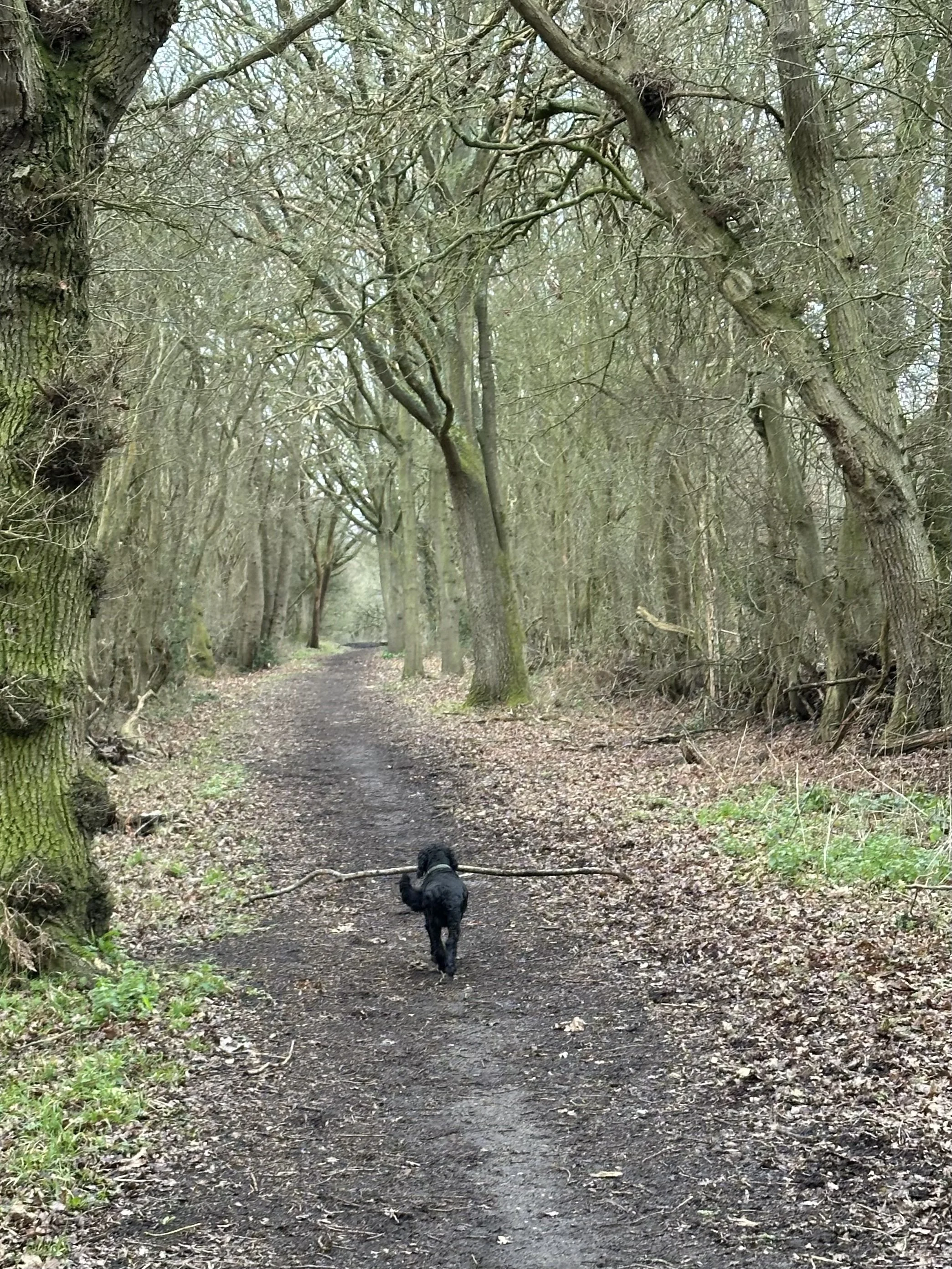 What If Movement Was About Joy?