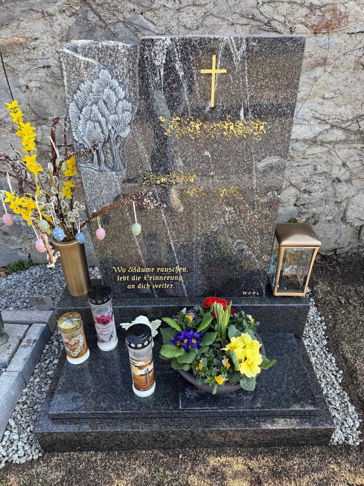 WhatsApp Image 2026-03-11 at 13.17.jpg