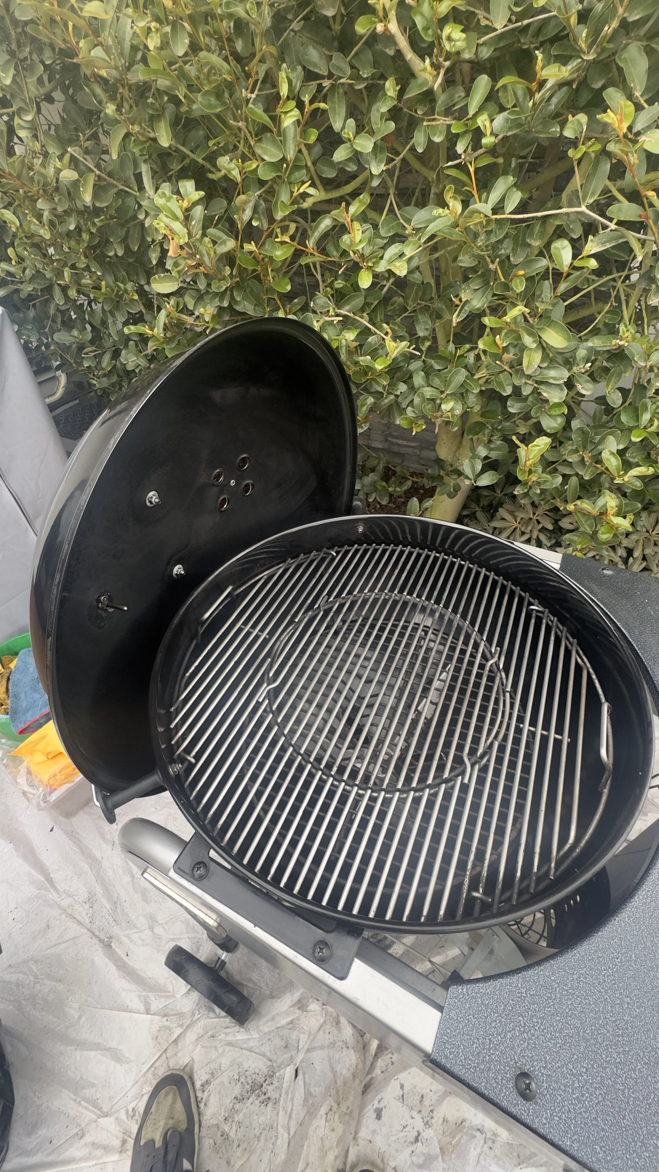 A black, round electric grill and its lid open, showing the grill grate inside, outdoors in front of green bushes.