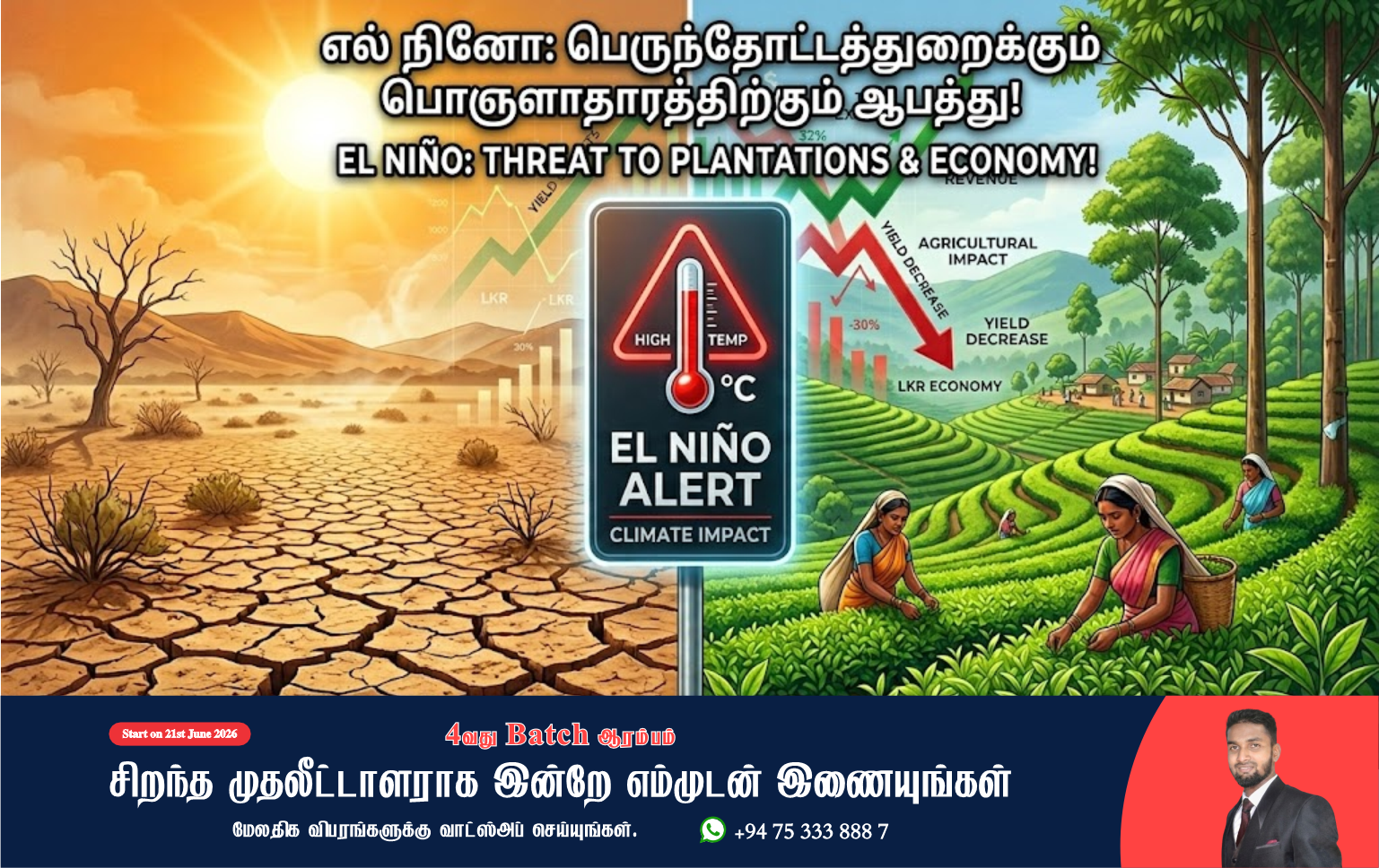 எல் நினோ எச்சரிக்கை: இலங்கைப் பெருந்தோட்டத்துறைக்கு எழும் சவால்கள்! | El Niño Impact on Sri Lanka