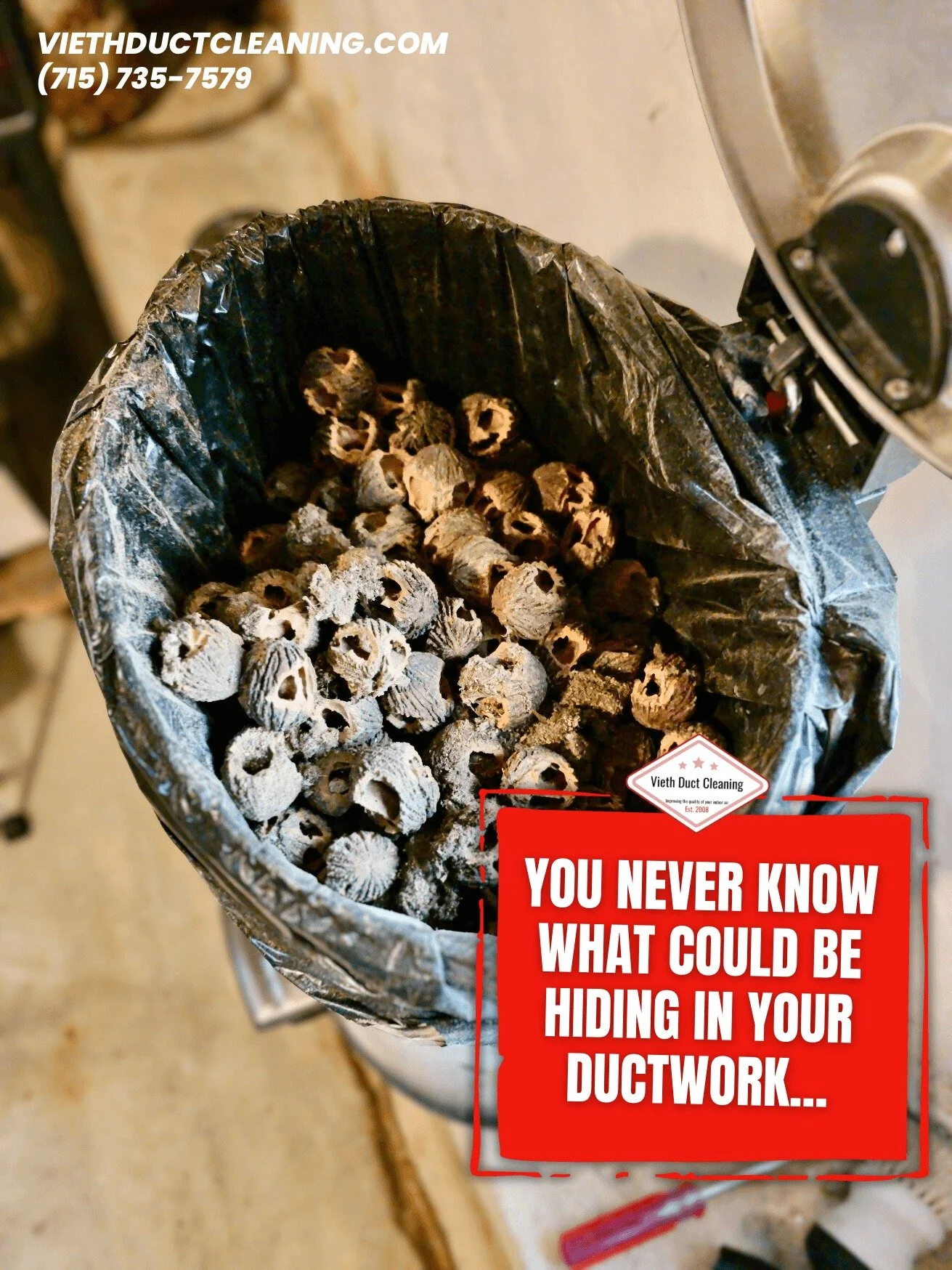 You never know what&rsquo;s hiding in your ductwork&hellip; 😳🐿️
We pulled over 200 walnuts out of a customer&rsquo;s ducts &mdash; surprise!

If critters, debris, or years of dust are lurking in your system, it might be time for a clean.

Book your