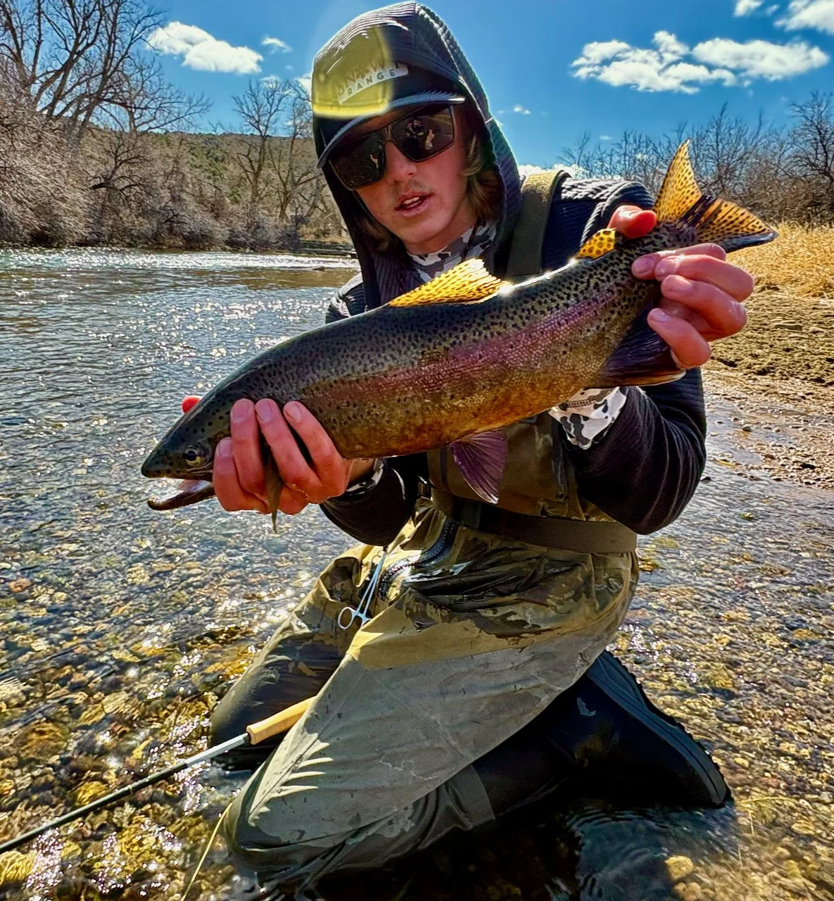 Big Wild Rainbow Trout