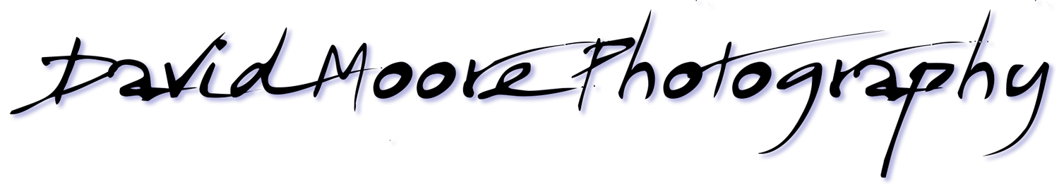 David Moore Photography