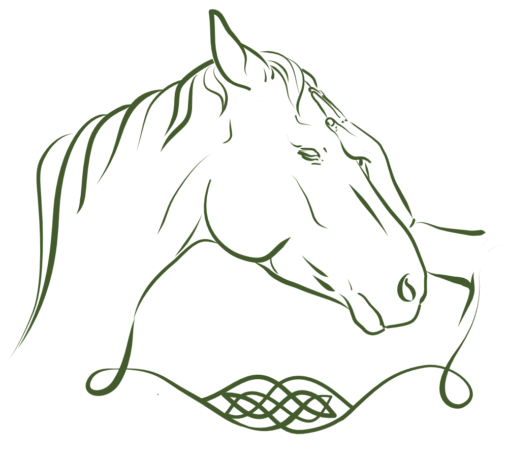 illustratie van een paardenhoofd met een hand op het voorhoofd