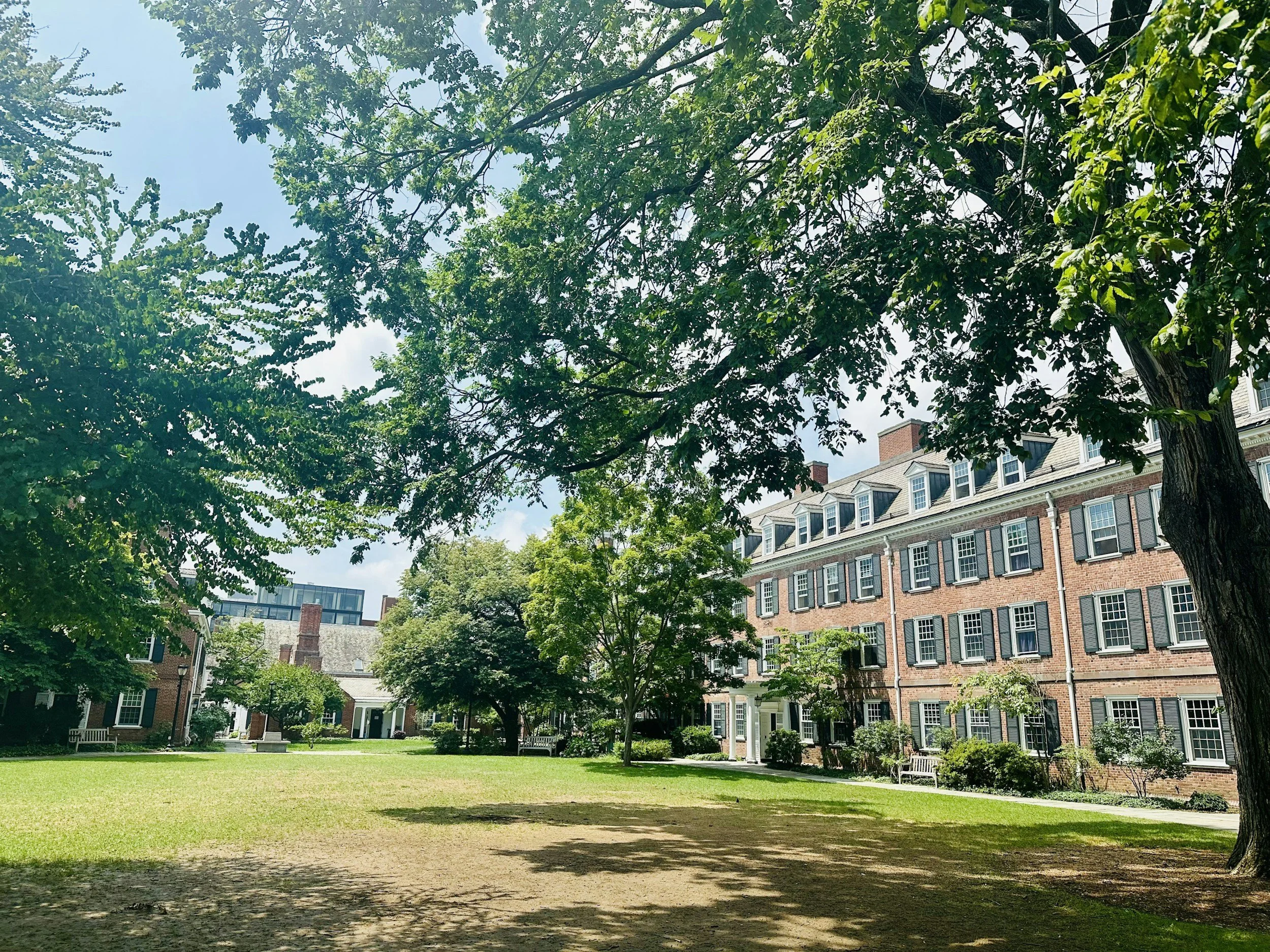 SOUTHERN CONNECTICUT STATE UNIVERSITY - Formerly tutored students in Statistics. 