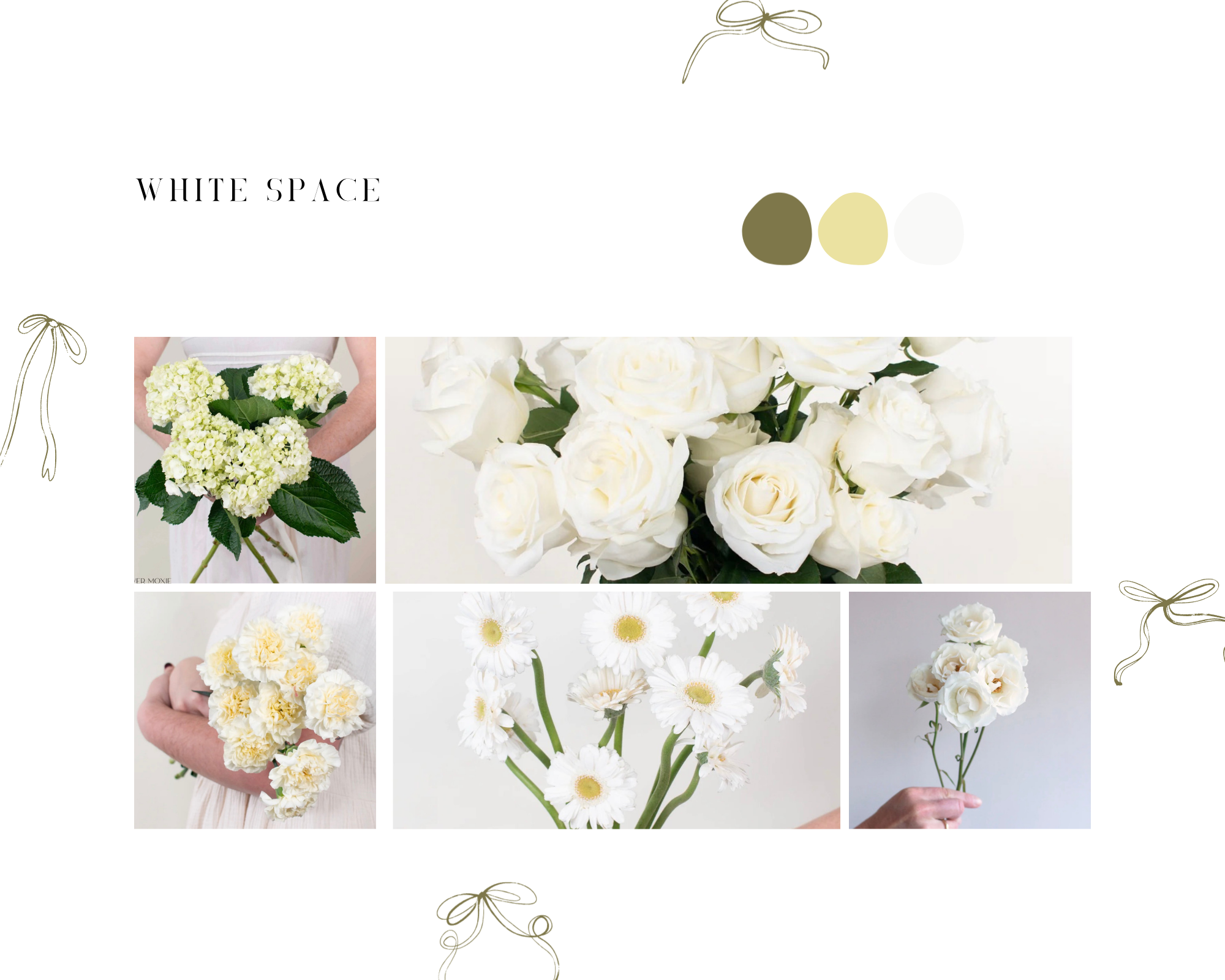 White Space