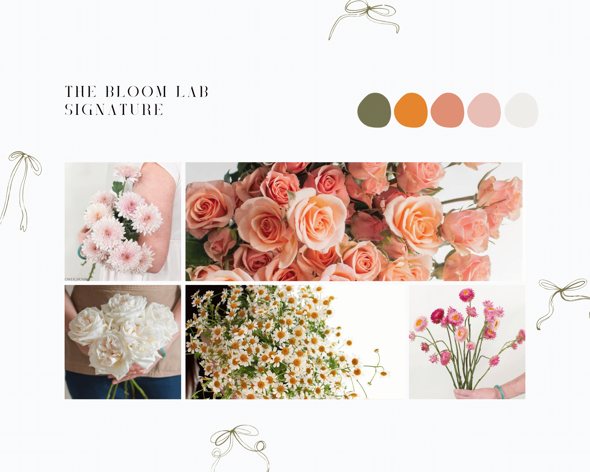 The Bloom Lab Signature