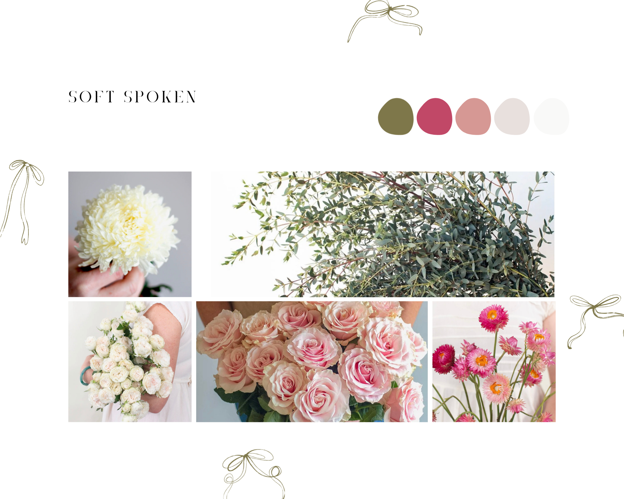 The Soft Spoken