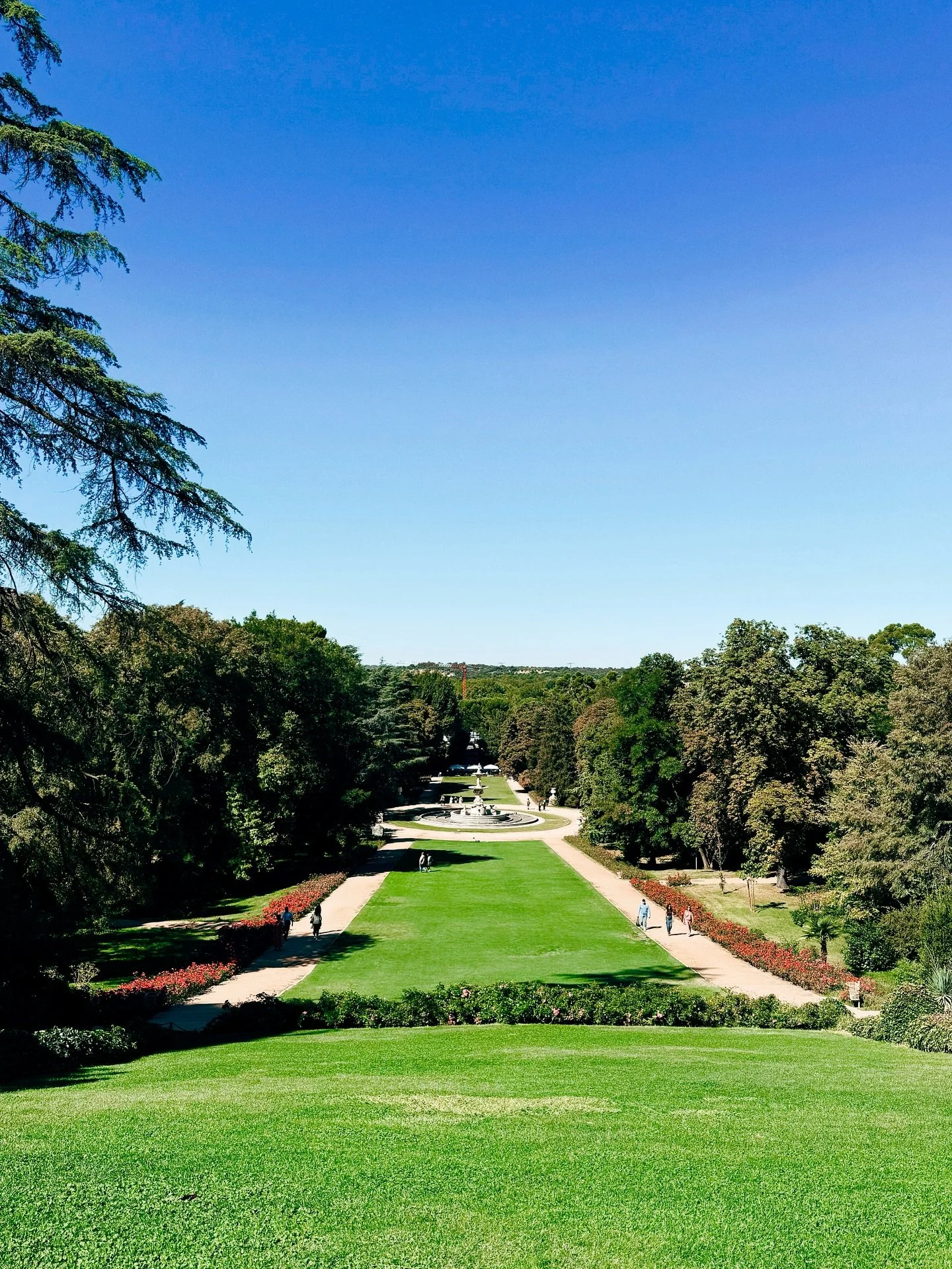🌇 Los mejores atardeceres de Madrid no siempre est&aacute;n en las alturas. A un paso de Gran V&iacute;a tienes rincones gratis como el Campo del Moro para disfrutar del skyline y de la terraza que tienen y el verde que lo rodea. 

🛎️ Y si te queda