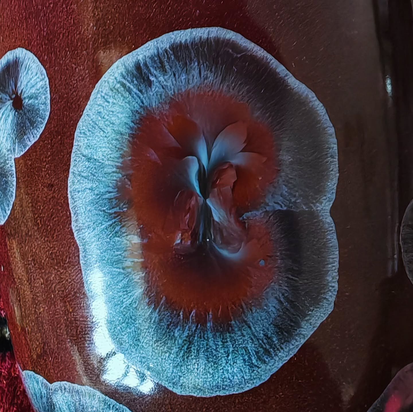 - Neutron Star -
Spring 2025
In the stillness of space, gravity frames a dance of light
.
.
.
#porcelain #ceramics #pottery #handmade  #ceramicart #crystallineceramics  #crystallineglaze #porcelainart  #studioceramics #contemporaryceramics #crystalli