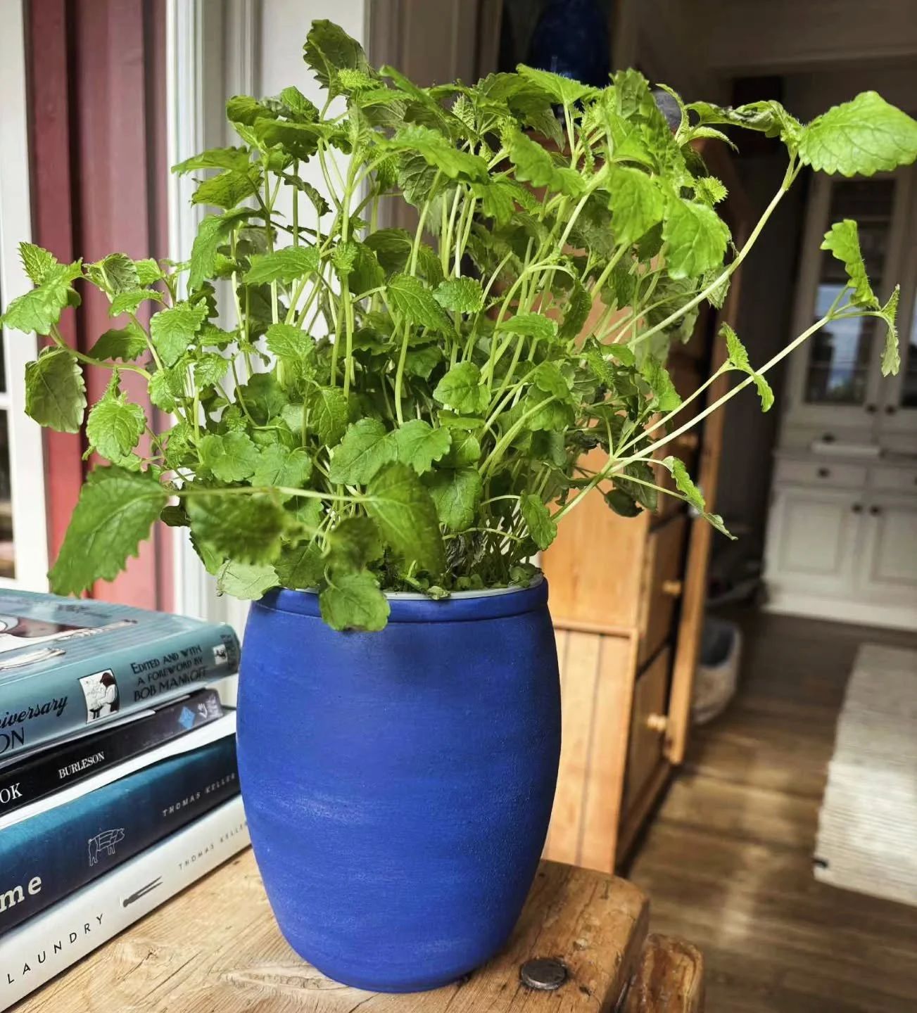 - Mint -
Winter 2024
Not the hue, but the plant - perfect in tea
.
.
.
#porcelain #ceramics #pottery #handmade  #ceramicart #crystallineceramics  #crystallineglaze #porcelainart  #studioceramics #contemporaryceramics #crystalline #handmadeceramics  #