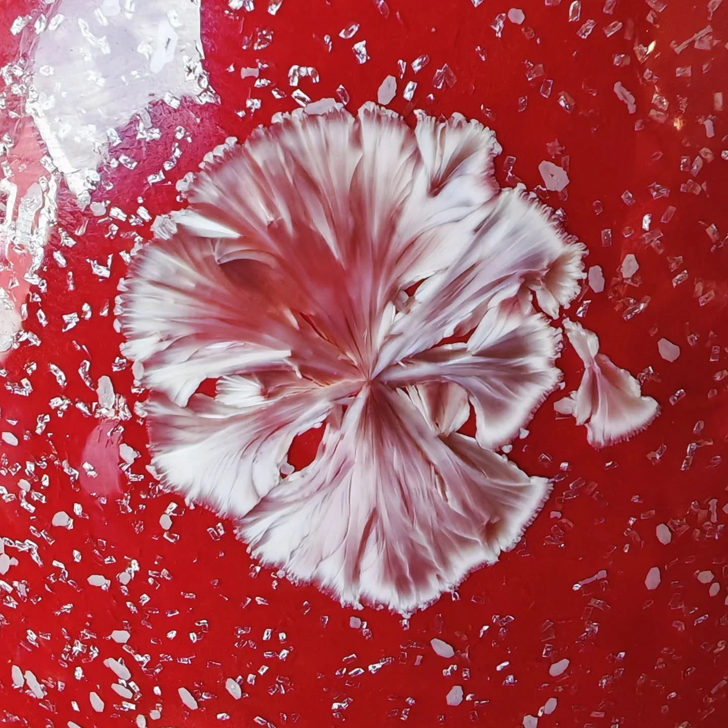 - Winter Bloom - 
Summer 2025
Savour the last sunrays before they turn into snowflakes
.
.
.
#porcelain #ceramics #pottery #handmade  #ceramicart #crystallineceramics  #crystallineglaze #porcelainart  #studioceramics #contemporaryceramics #crystallin