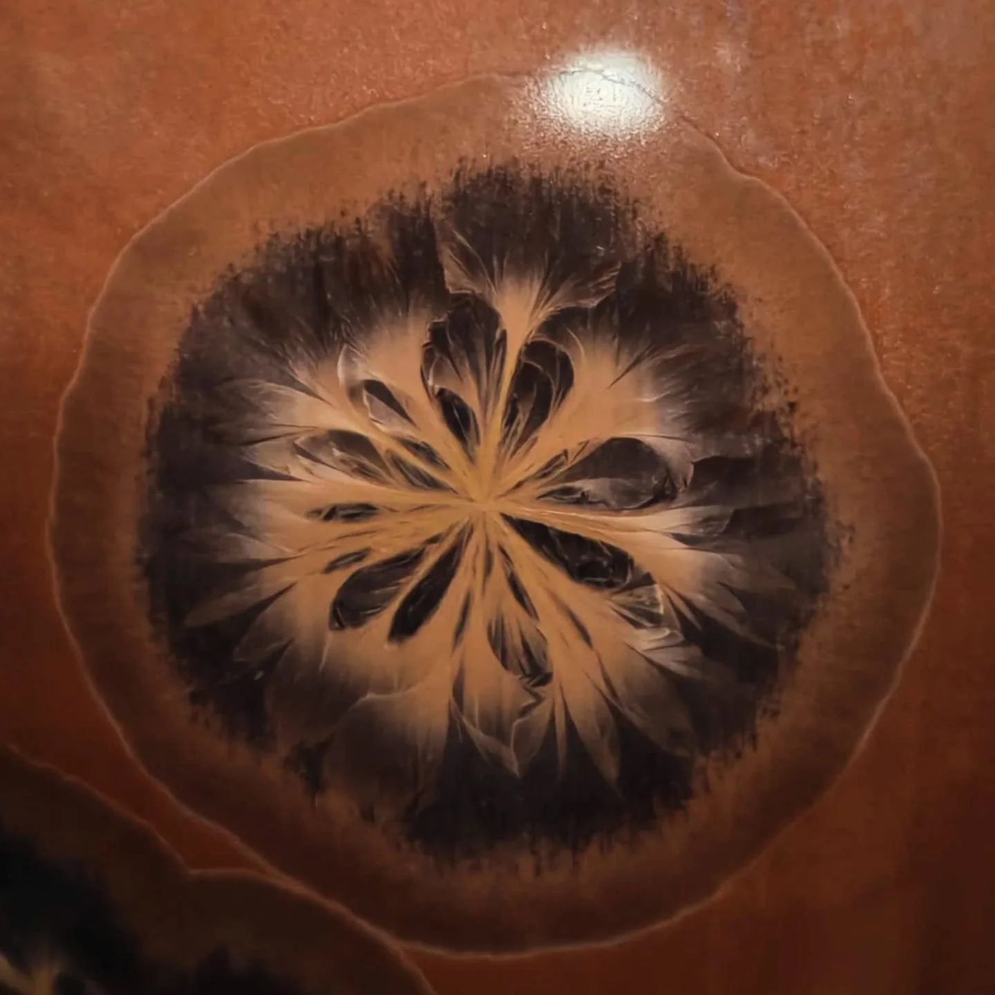 - Iris -
Spring 2025
Dark edges, yet luminous within
.
.
.
#porcelain #ceramics #pottery #handmade  #ceramicart #crystallineceramics  #crystallineglaze #porcelainart  #studioceramics #contemporaryceramics #crystalline #handmadeceramics  #wheelthrownc