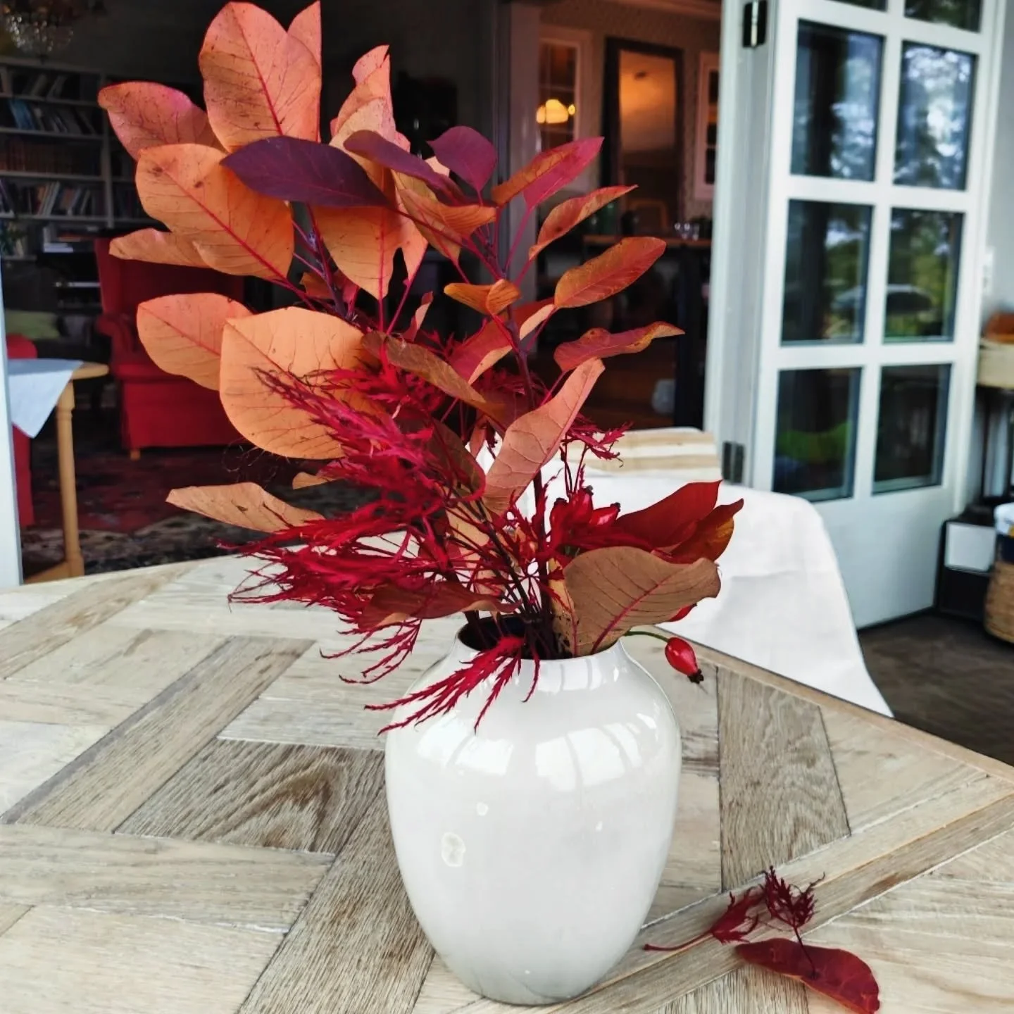 - Vela -
Winter 2025
Illuminating with flame or catching the wind with sails - either way, it moves
.
.
.
#porcelain #ceramics #pottery #handmade  #ceramicart crystallineceramics  crystallineglaze porcelainart  studioceramics contemporaryceramics cry