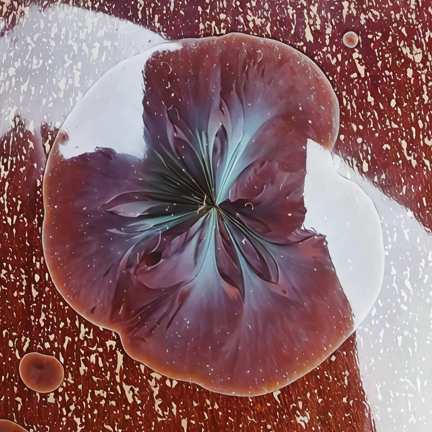 - R.I.P. -
Fall 2025
Cyan. Crystal. Calm. Cleaved.
.
.
.
#porcelain #ceramics #pottery #crystallineceramics  #crystallineglaze