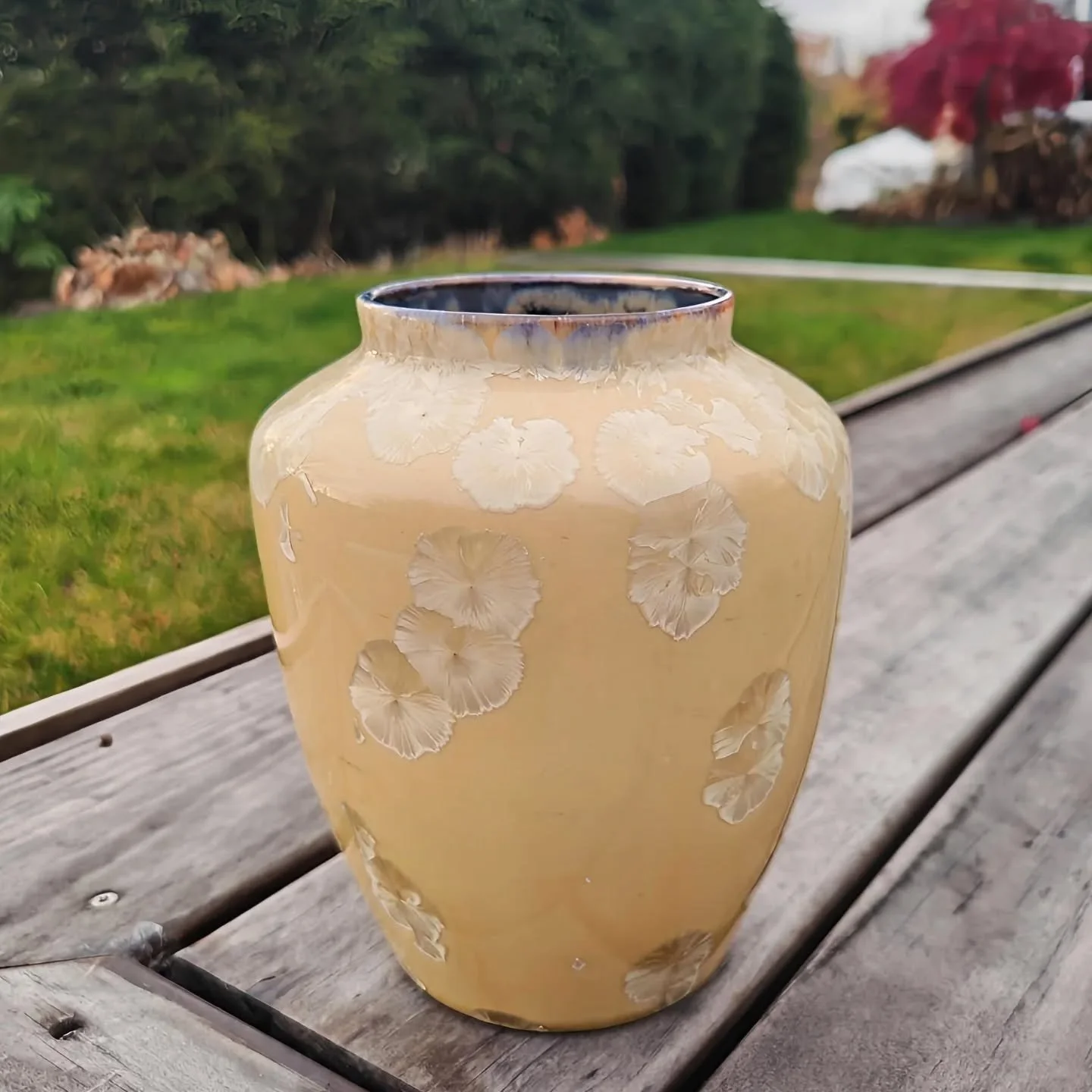 - Custard -
Spring 2025
To understand quality, one must learn from the cultured
.
.
.
#porcelain #ceramics #pottery #crystallineceramics  #crystallineglaze