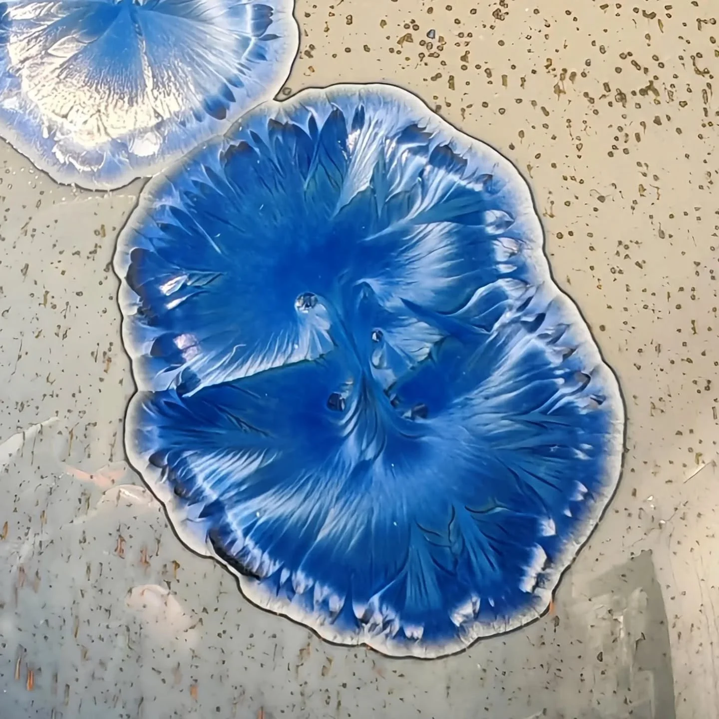 - Cerulean -
Spring 2025
For bilateral blotting, pretty decent 
.
.
.
#porcelain #ceramics #pottery #crystallineceramics  #crystallineglaze