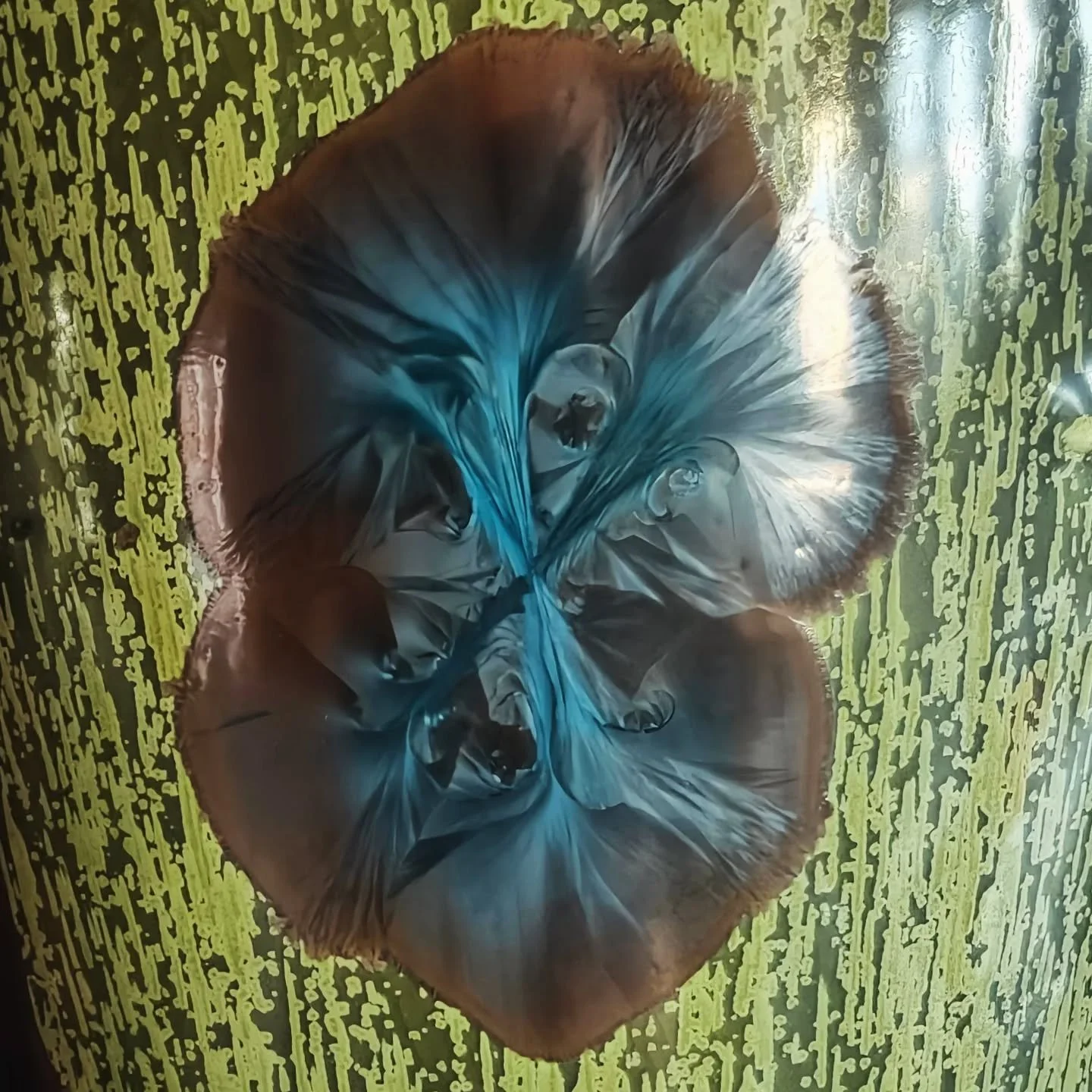 - Tākaka -
Winter 2025
Where stillness feels alive