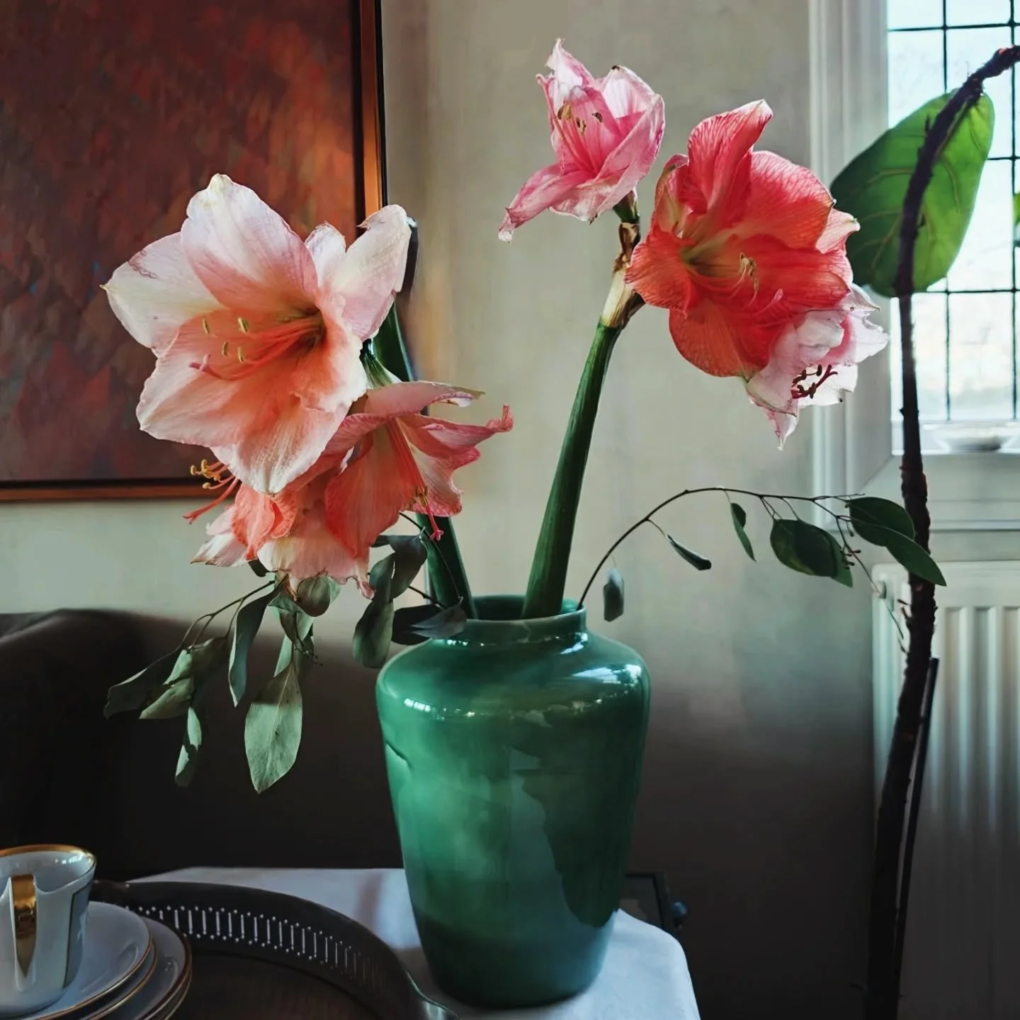 - Tiger Lily -
Summer 2025
She usually hates people? Idk why she likes you