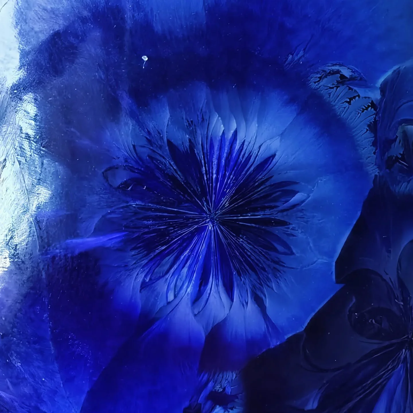 - Night Sky -
Winter 2026
Looking up on long walks in the evening
.
.
.
#porcelain #ceramics #pottery #crystallineceramics  #crystallineglaze