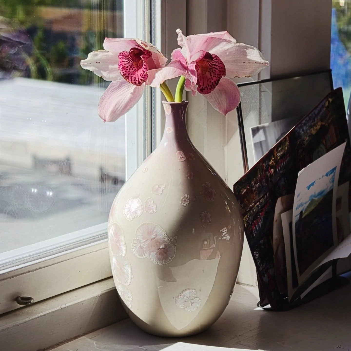 - Gary -
Winter 2026
Meow meow meow meow meow meow meow 
.
.
.
#porcelain #ceramics #pottery #crystallineceramics  #crystallineglaze