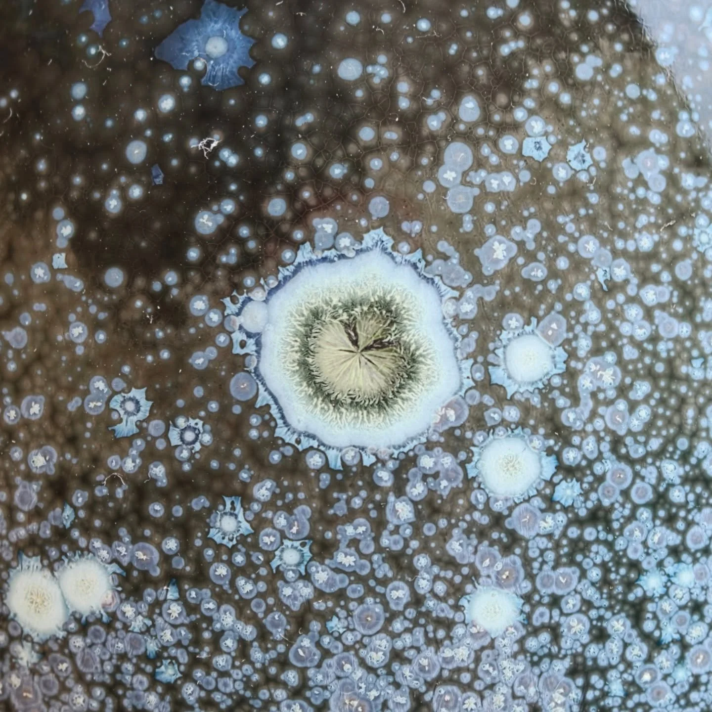 - Sisu -
Winter 2025
The one that endured
.
.
.
#porcelain #ceramics #pottery #crystallineceramics  #crystallineglaze