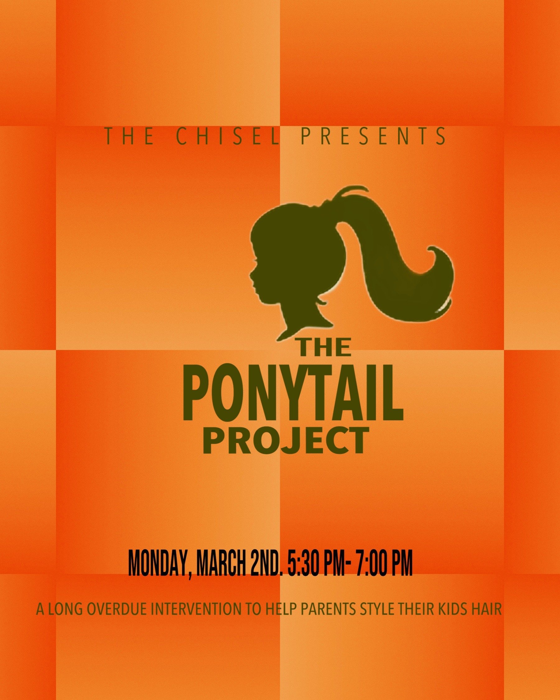 The Ponytail Project