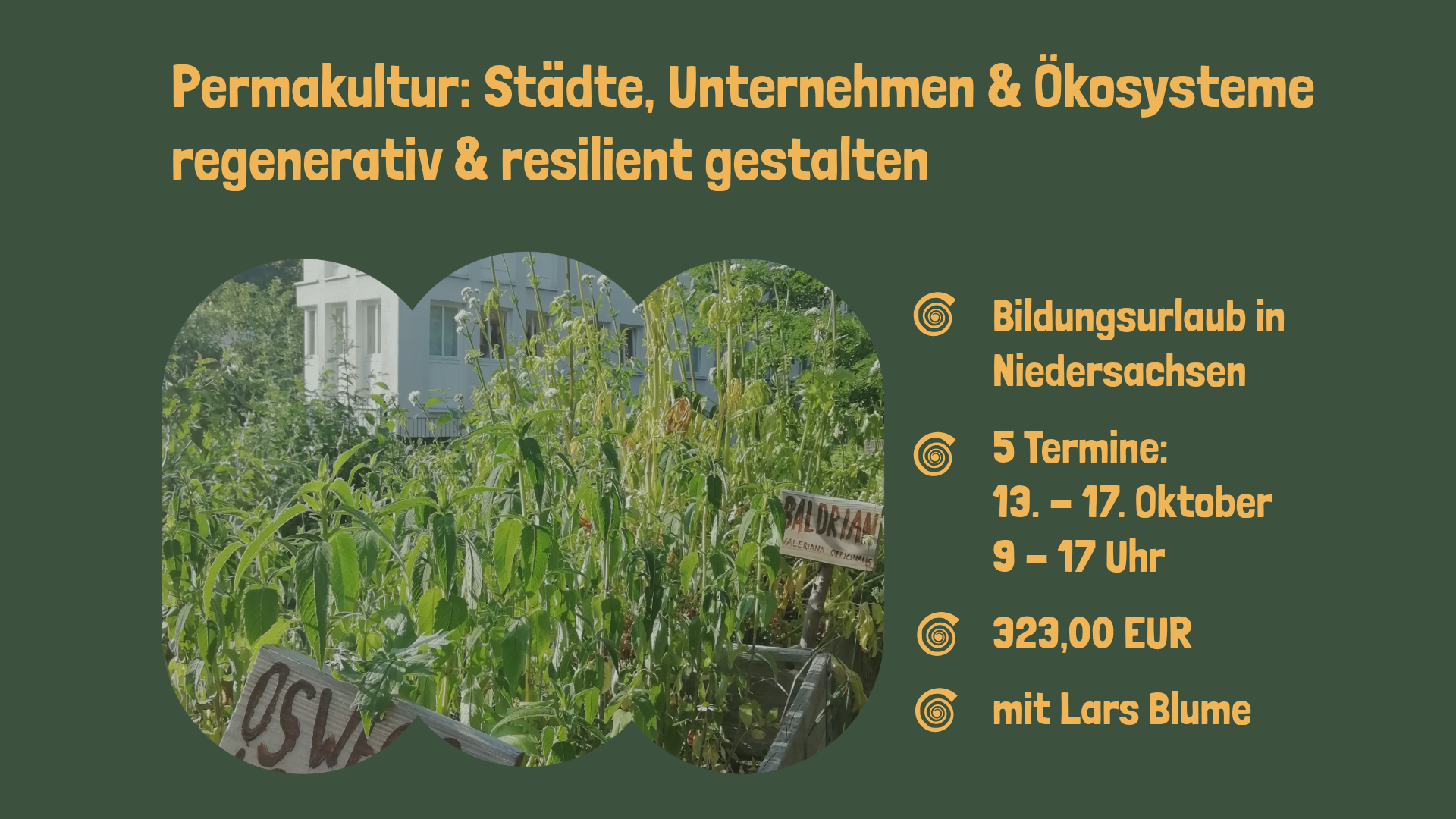 Permakultur: Städte, Unternehmen & Ökosysteme regenerativ & resilient gestalten