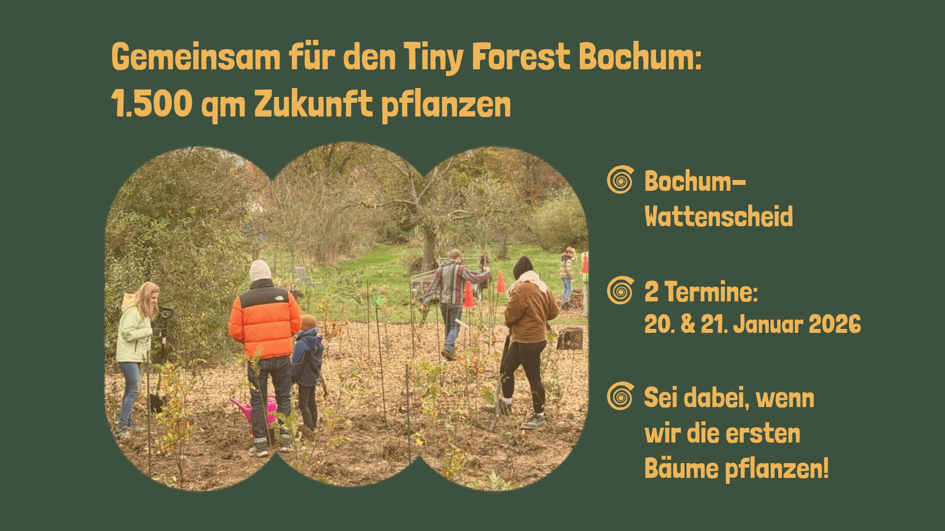 Tiny Forest Bochum – Gemeinsam pflanzen, Zukunft gestalten