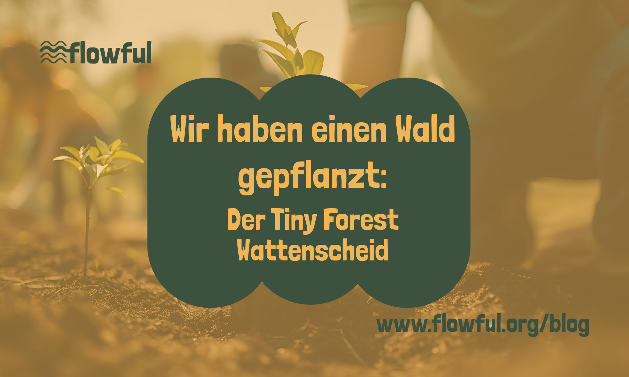 Wir haben einen Wald gepflanzt.